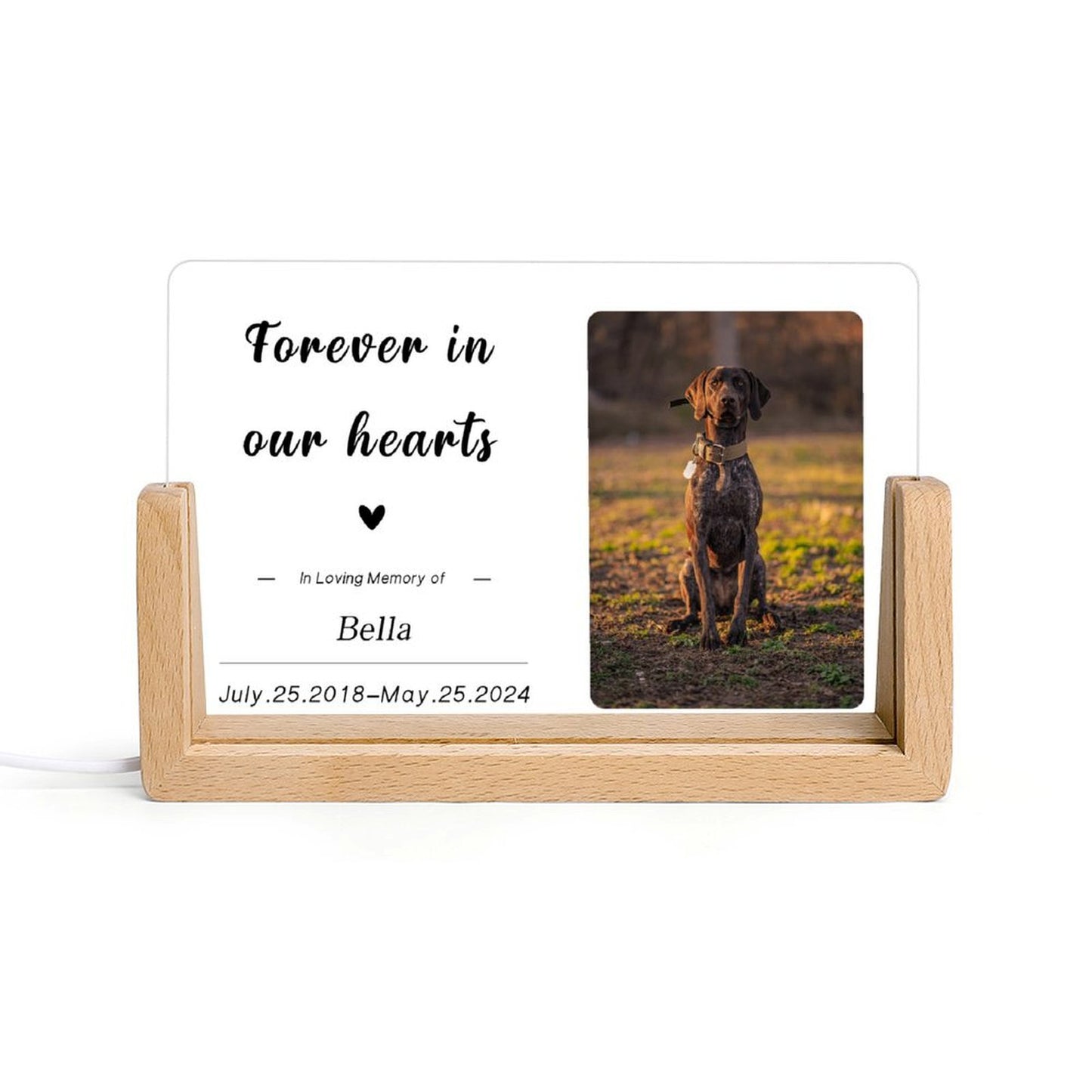 Custom Pet Photo Forever in Heart Memorial Acrylic Night Light