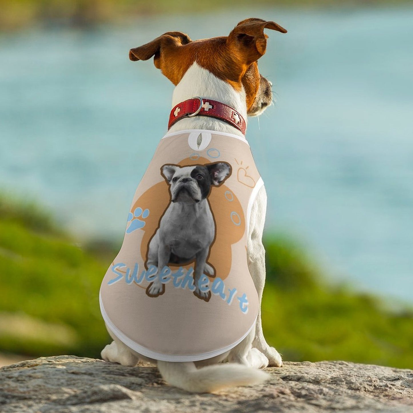 Custom Face Pet Vest Sweetheart Costume-WEPRINTME-5
