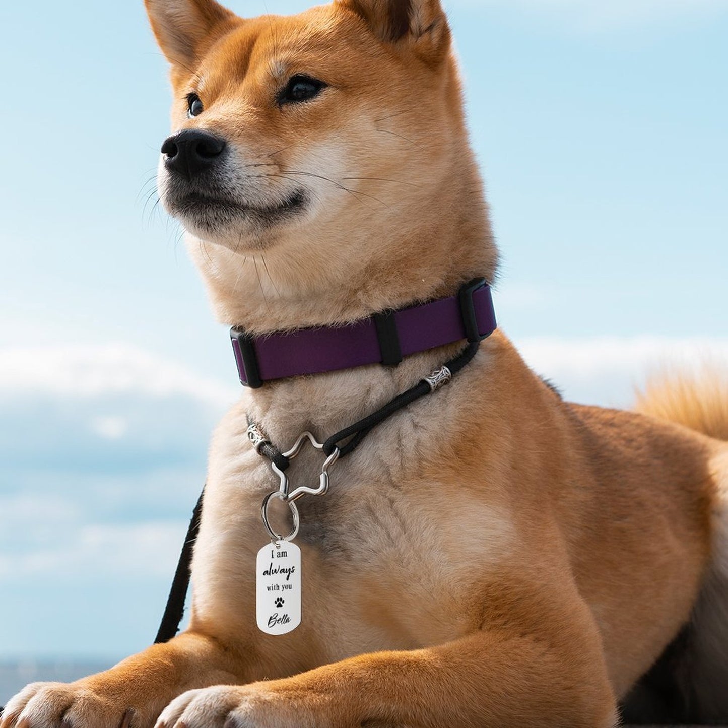 Custom Pet Photo I'm Always with You Metal Keychain-WEPRINTME-8