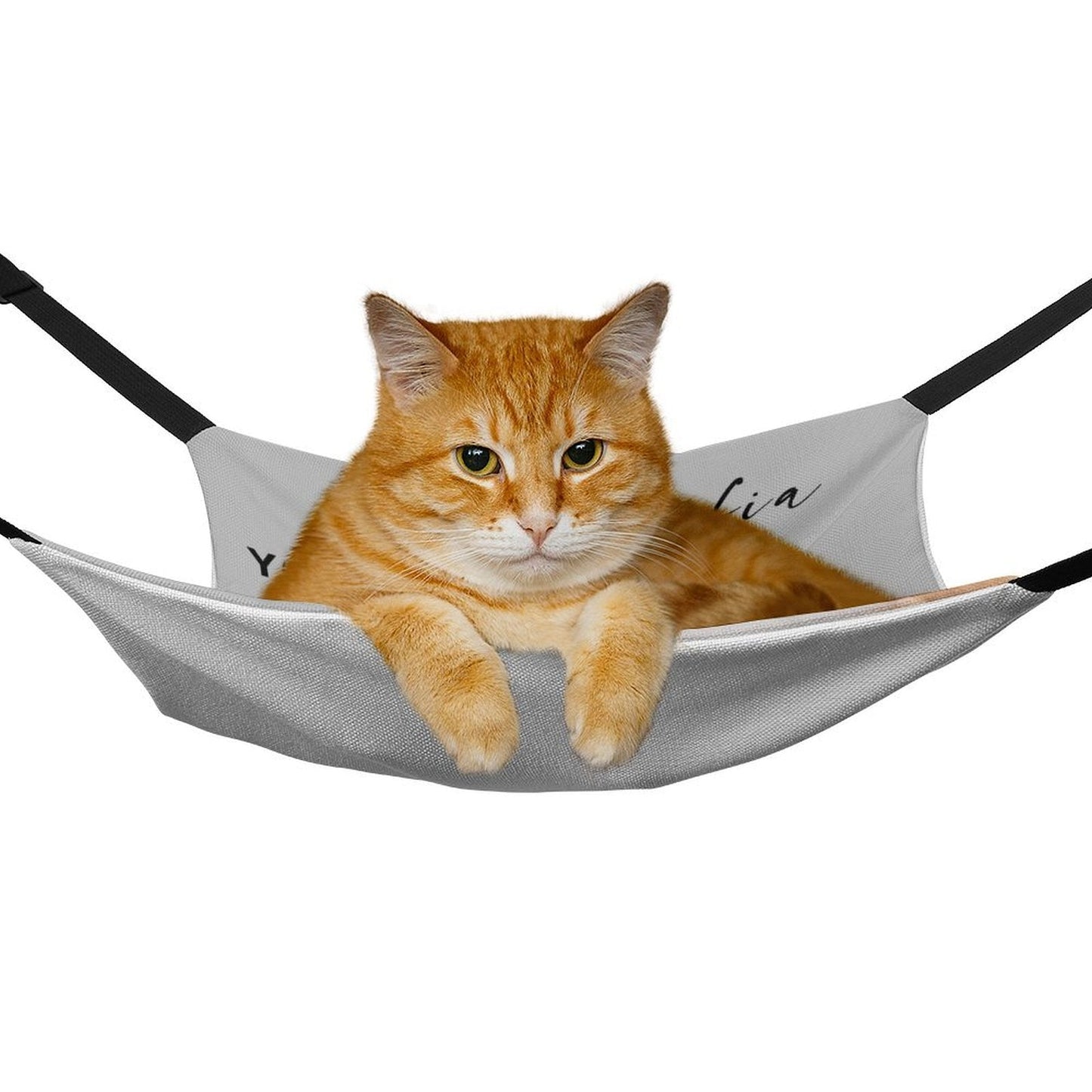 WEPRINTMEPet SuppliesCustom Photo Pet Hammock