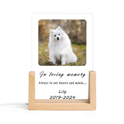Custom Pet Photo Forever in Heart Memorial Acrylic Night Light