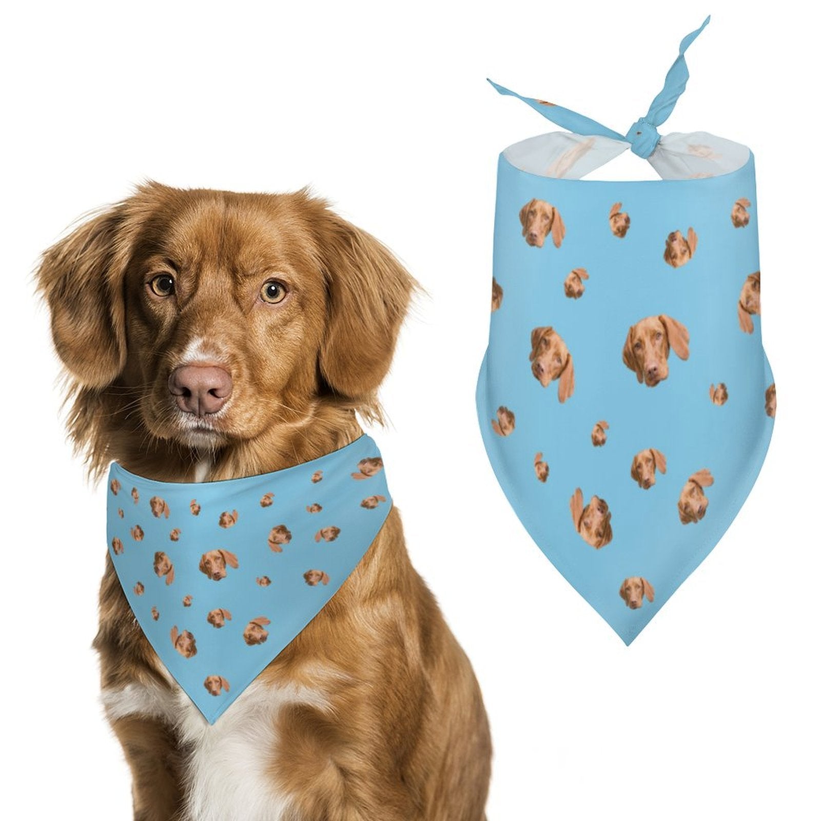 Custom Pet Face Pets Everywhere Pet Scarf-WEPRINTME-13