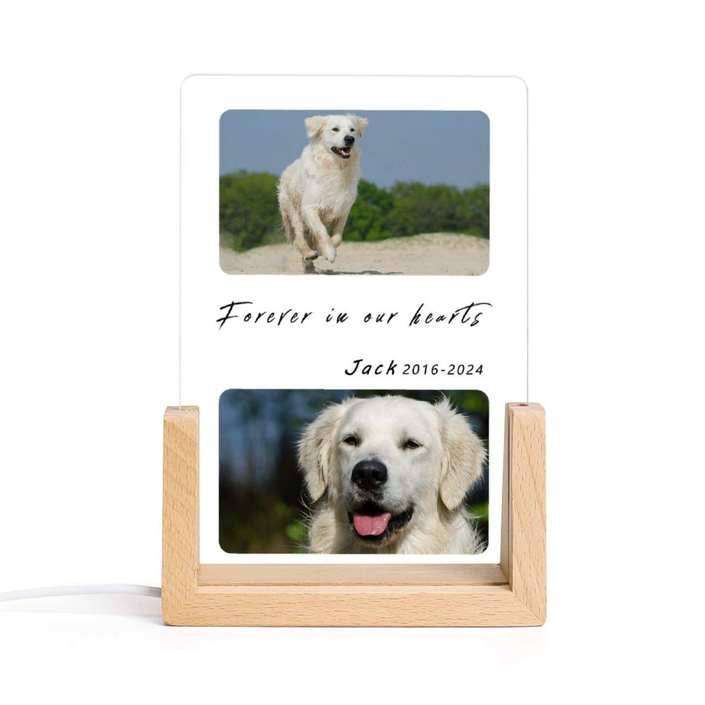 Custom Pet Photos Forever in Heart Memorial Acrylic Night Light