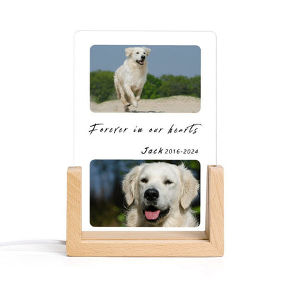 Custom Pet Photos Forever in Heart Memorial Acrylic Night Light