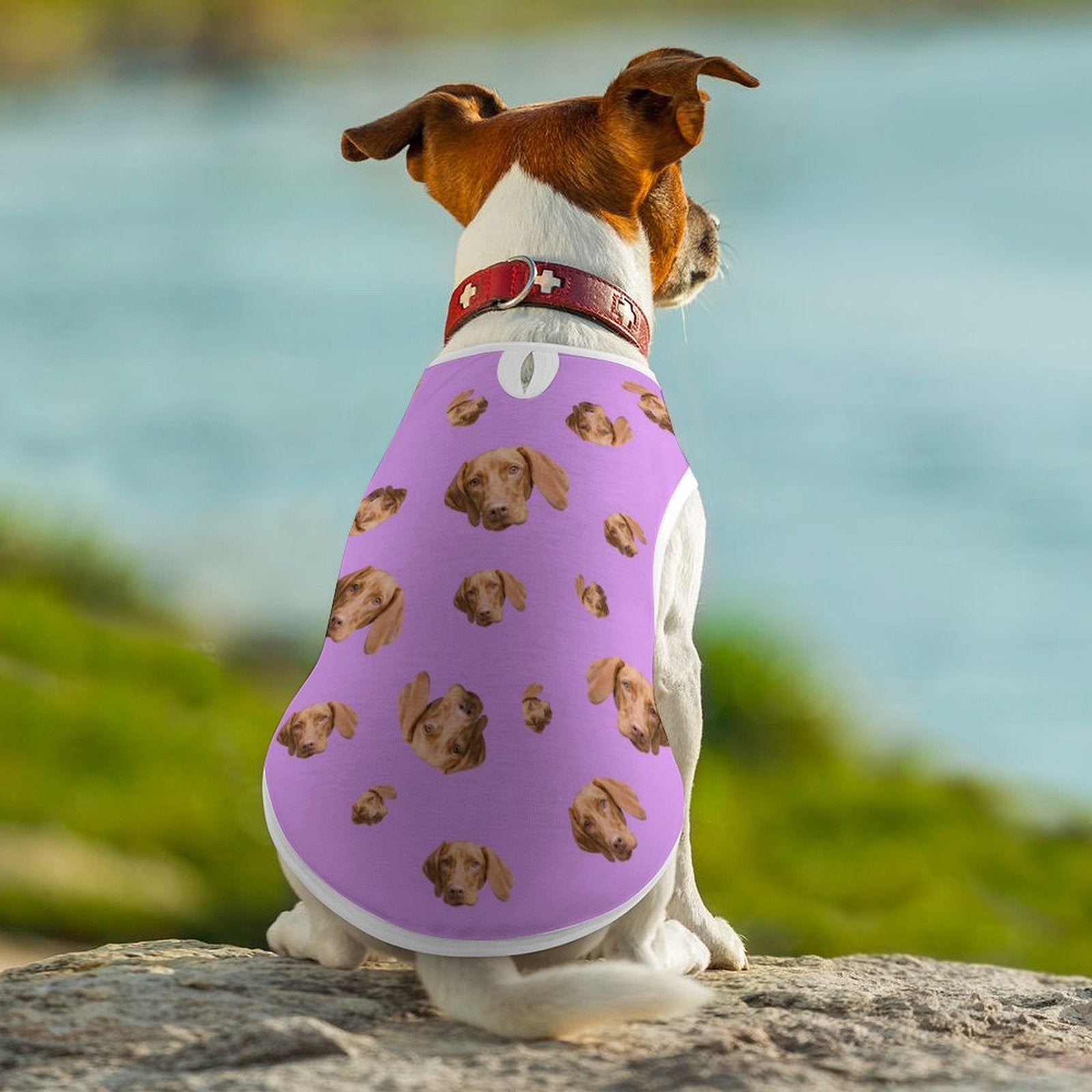 Custom Pet Face Pet Everywhere Vest-WEPRINTME-12