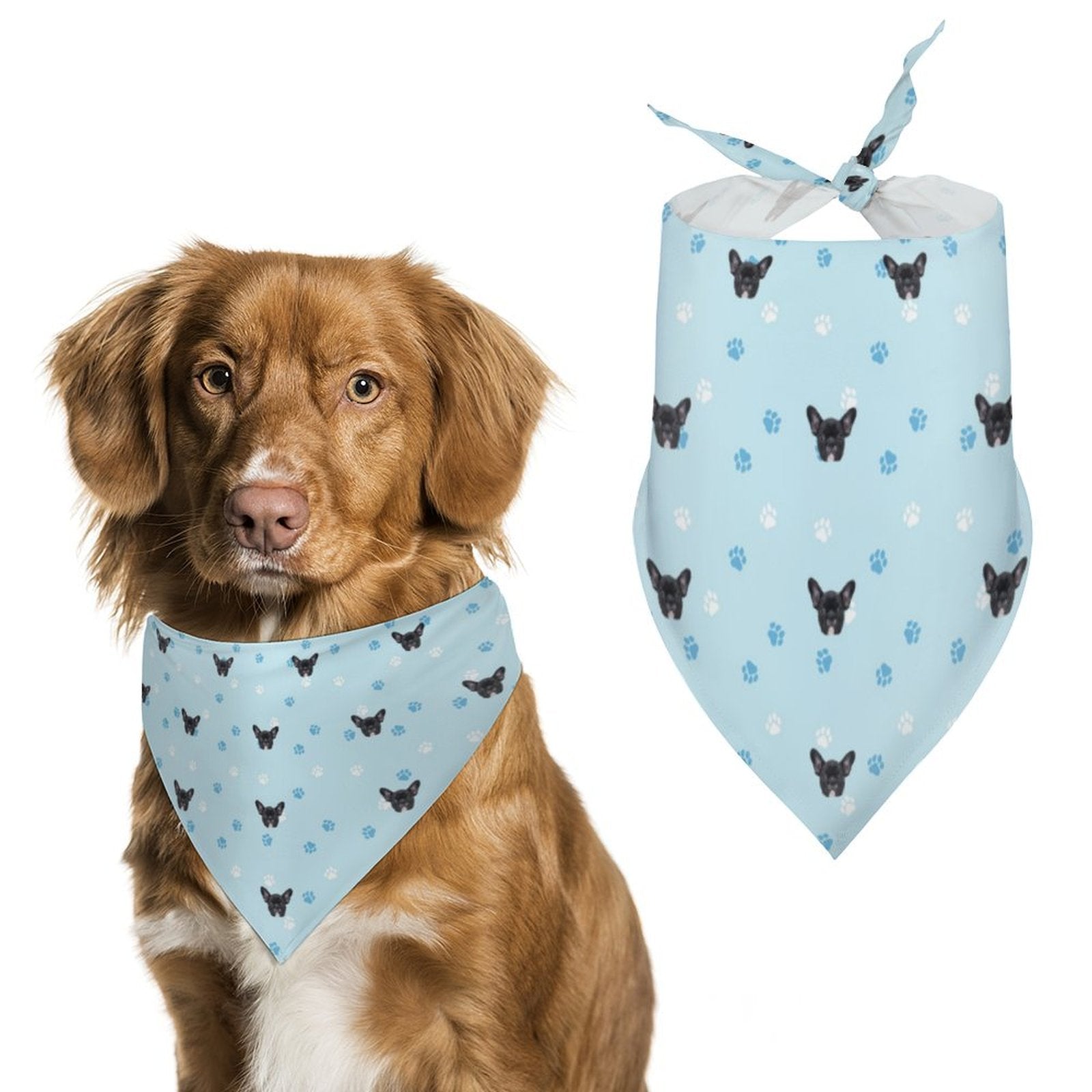 Custom Pet Face Pets Everywhere Pet Scarf-WEPRINTME-10