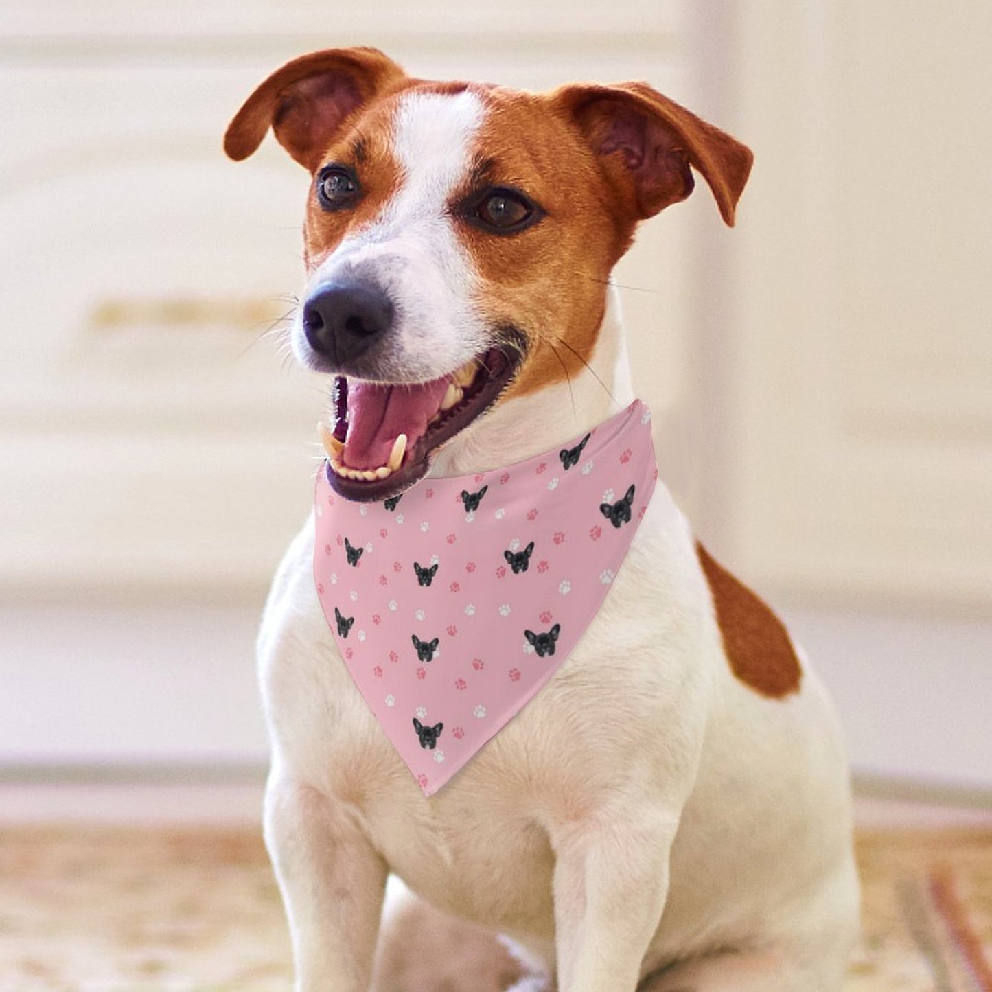 Custom Pet Face Pets Everywhere Pet Scarf-WEPRINTME-4