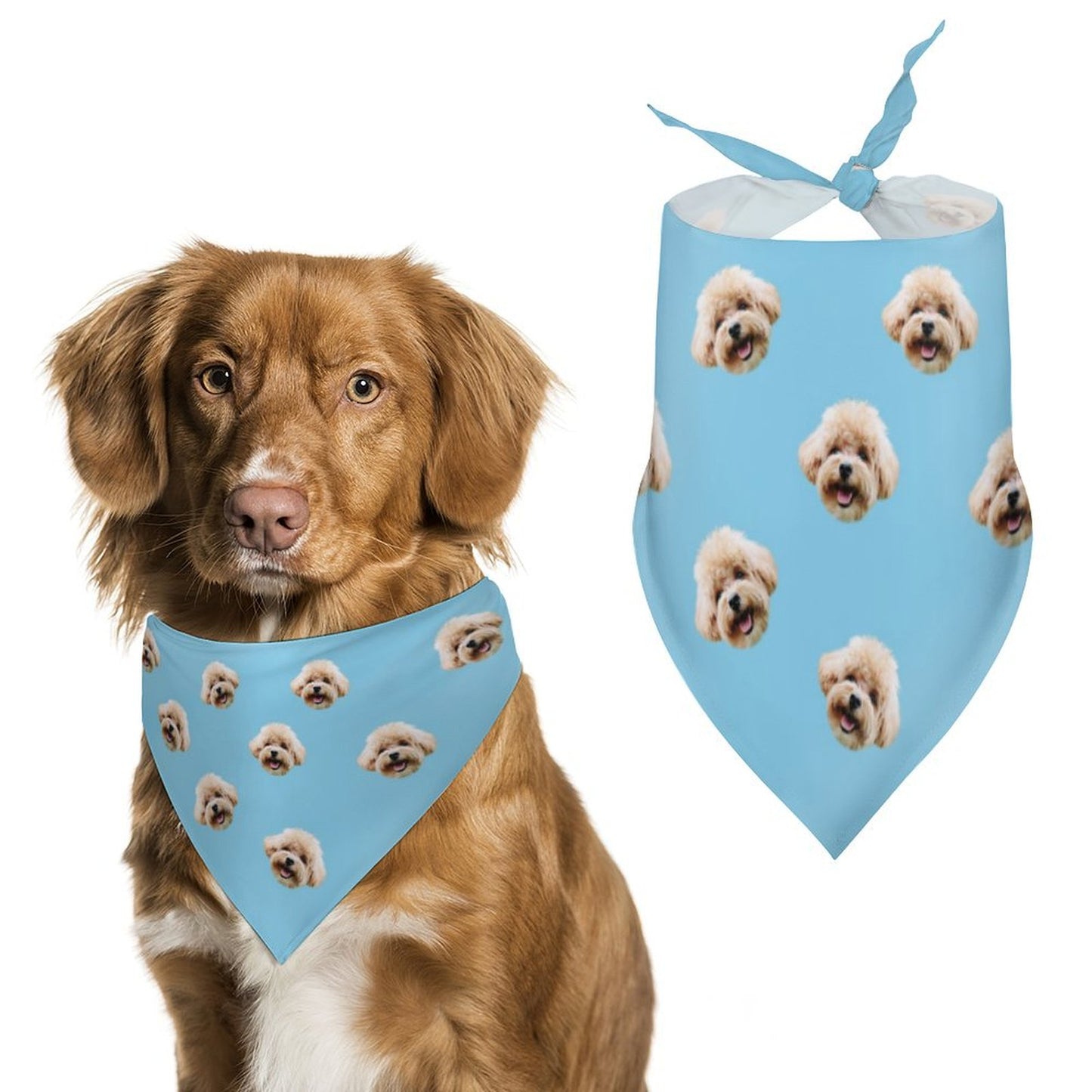 Custom Face Girls Swimwear Matching Pet Bandana-WEPRINTME-8