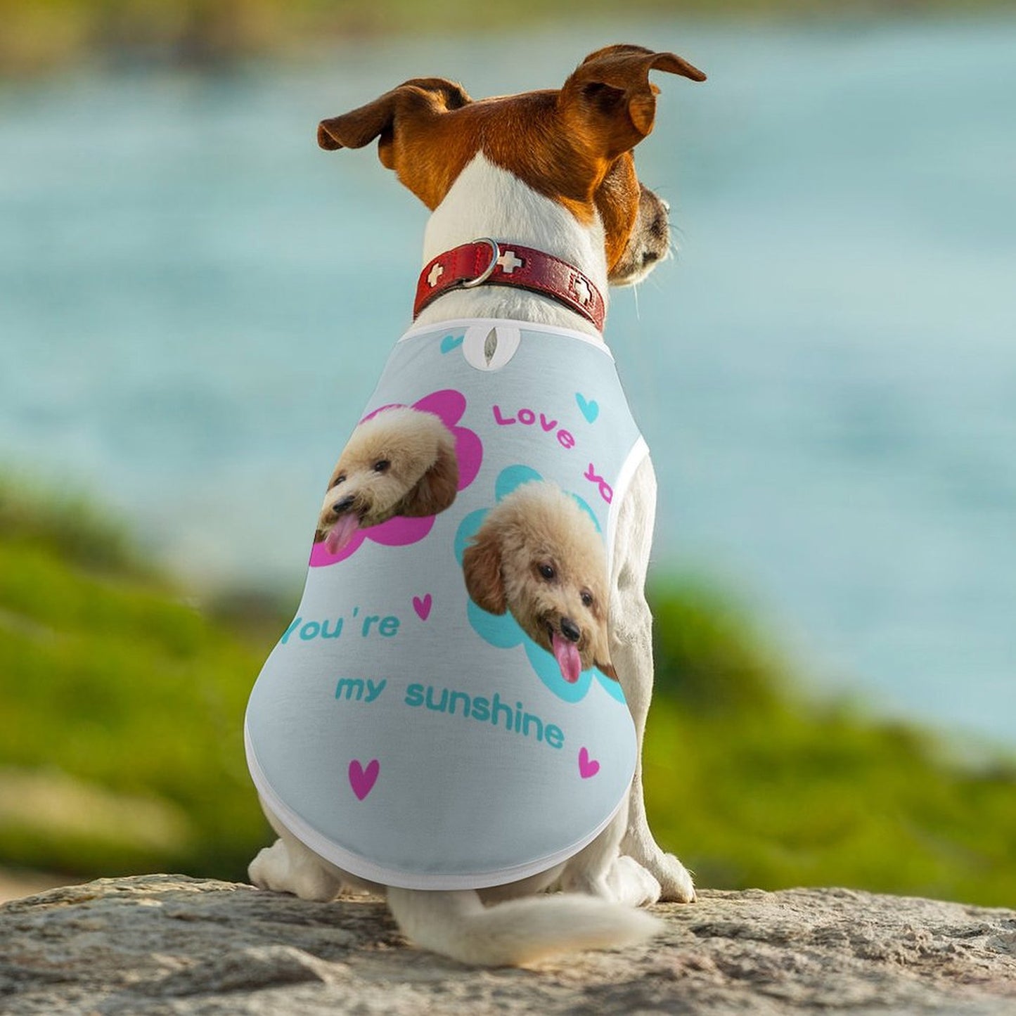 Custom Face Pet Vest My Sunshine Pet Costume-WEPRINTME-11