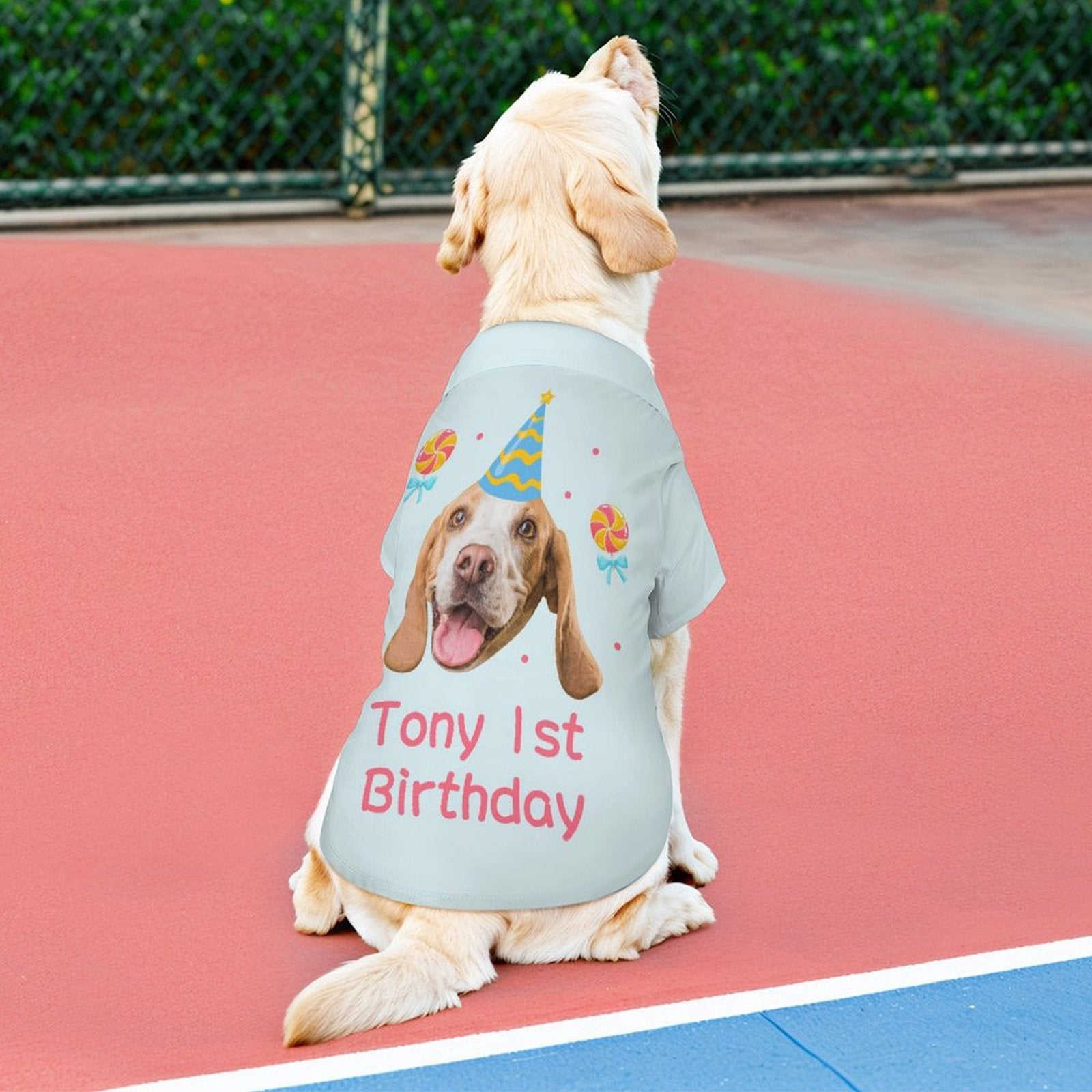 Custom Face and Name Pet Shirt and Scarf Birthday Pet Costume-WEPRINTME-11