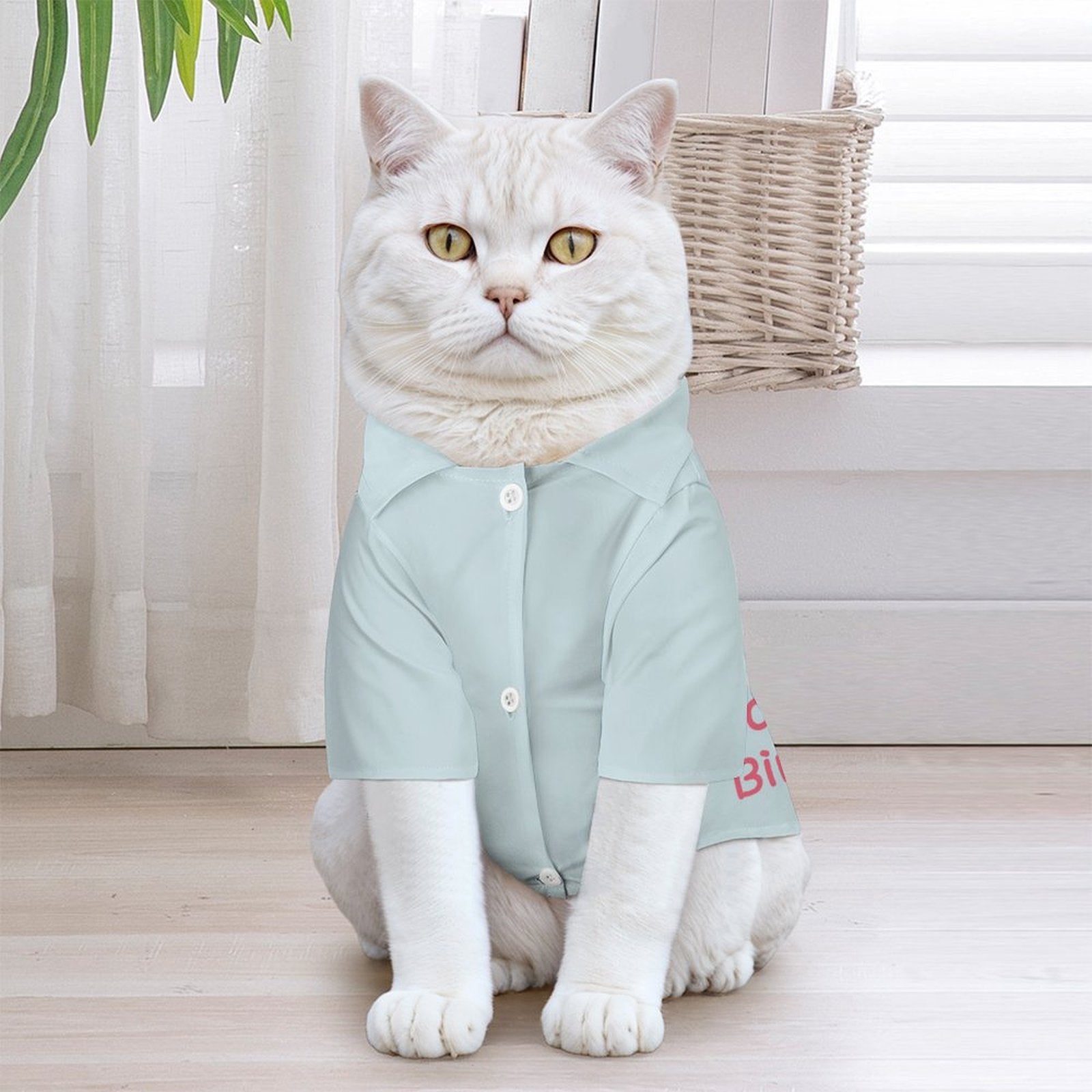Custom Face and Name Pet Shirt and Scarf Birthday Pet Costume-WEPRINTME-12