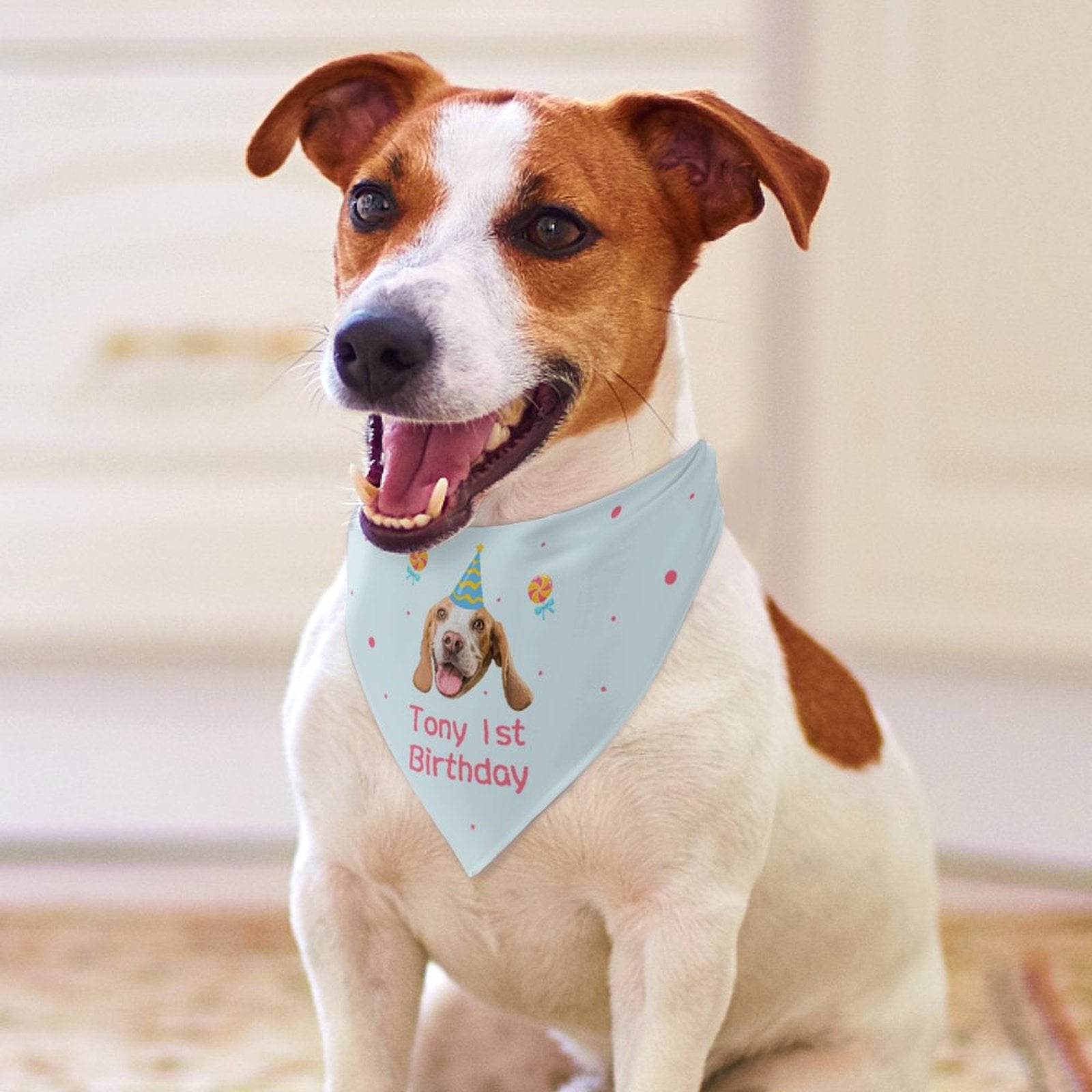 Custom Face and Name Pet Shirt and Scarf Birthday Pet Costume-WEPRINTME-15