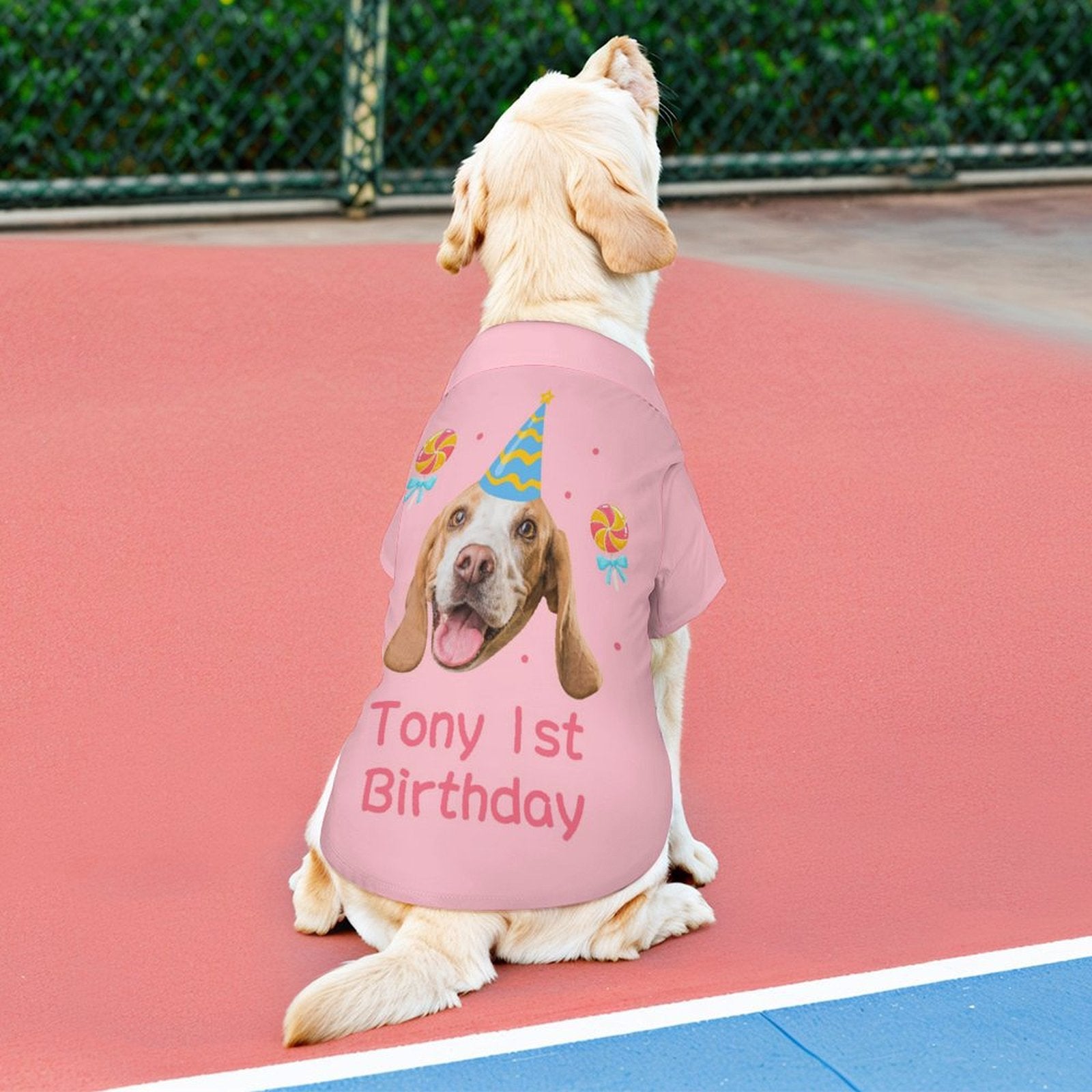 Custom Face and Name Pet Shirt and Scarf Birthday Pet Costume-WEPRINTME-2