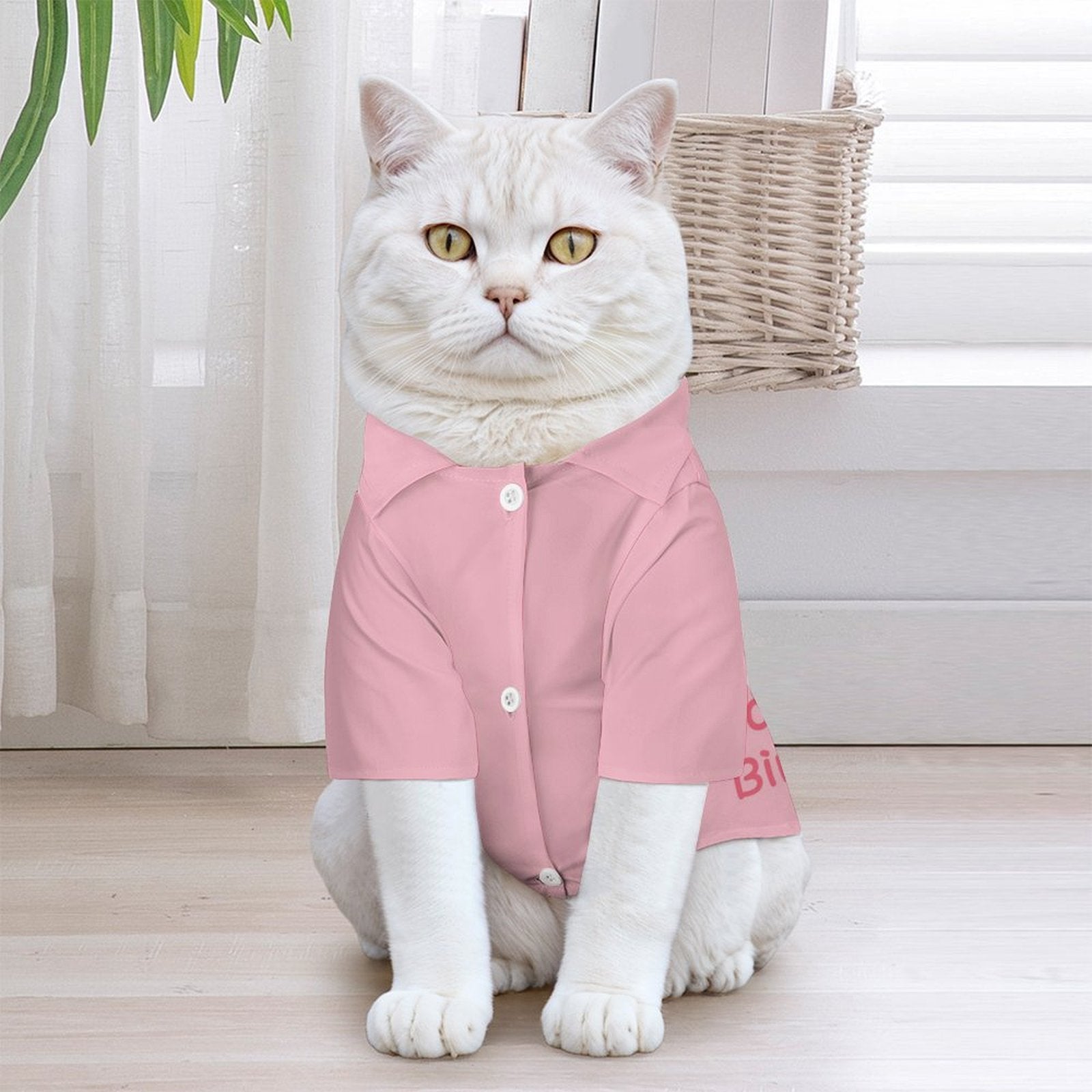 Custom Face and Name Pet Shirt and Scarf Birthday Pet Costume-WEPRINTME-3