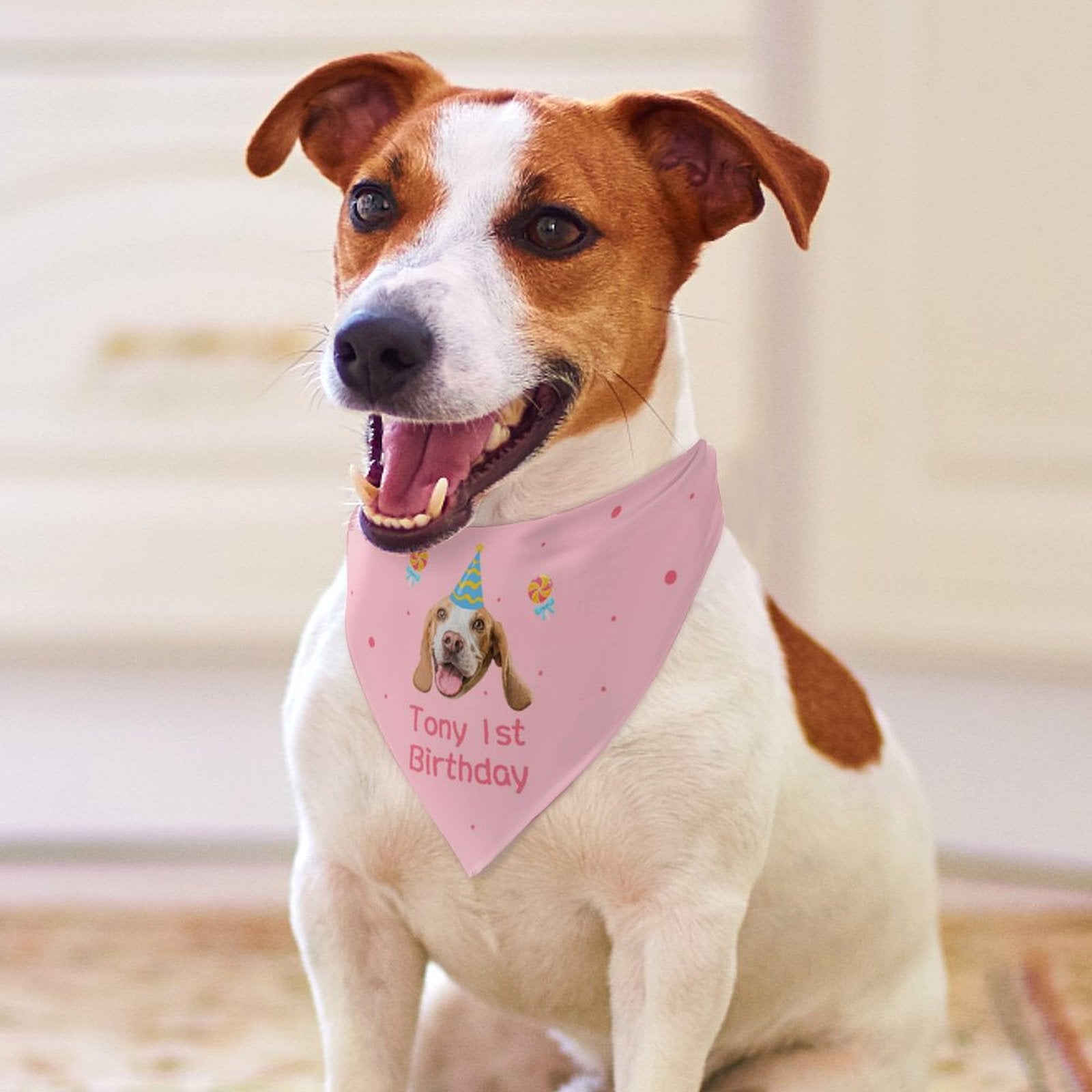 Custom Face and Name Pet Shirt and Scarf Birthday Pet Costume-WEPRINTME-6