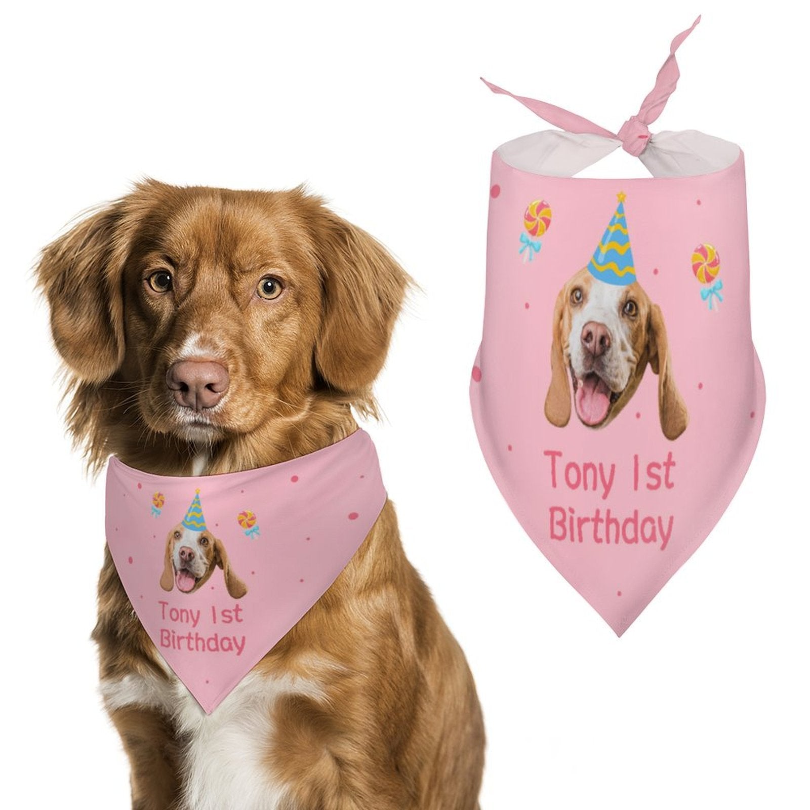 Custom Face and Name Pet Shirt and Scarf Birthday Pet Costume-WEPRINTME-7