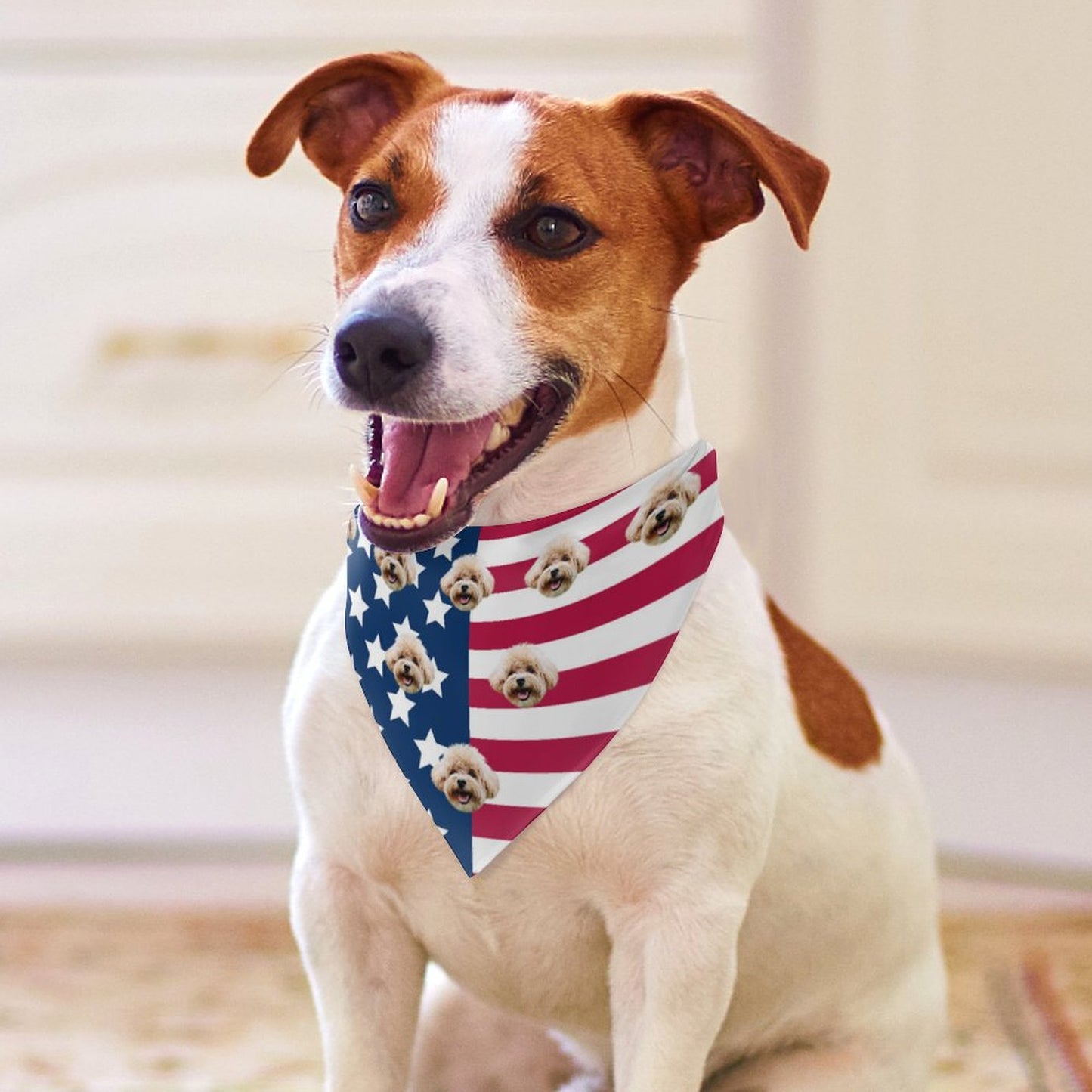Custom Pet Face Flag Girls Swimwear Matching Pet Bandana-WEPRINTME-7