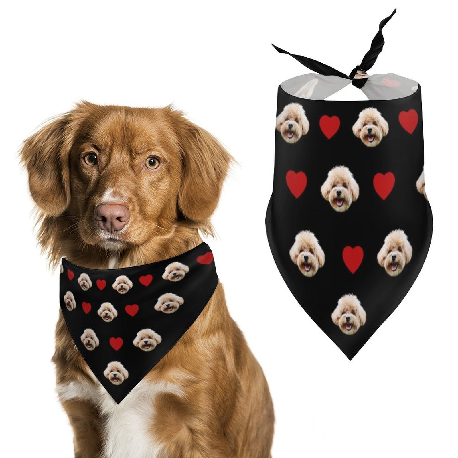 Custom Pet Face Girls Swimwear Matching Pet Bandana-WEPRINTME-8