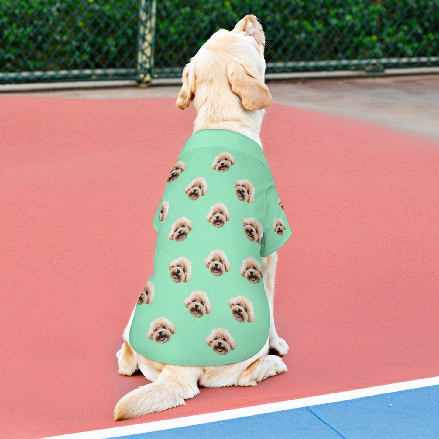 Custom Pet Face Kids Shorts Matching Pet Shirts-WEPRINTME-11
