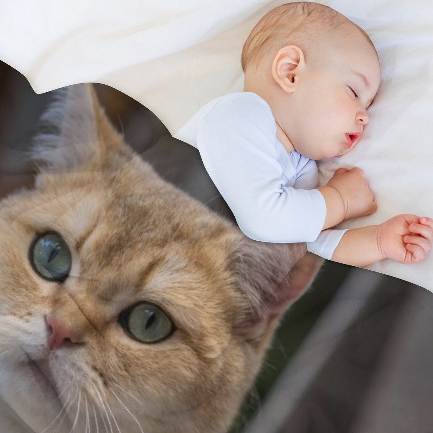 Custom Pet Photo Blanket Best Day Ever Birthday Blanket-WEPRINTME-5