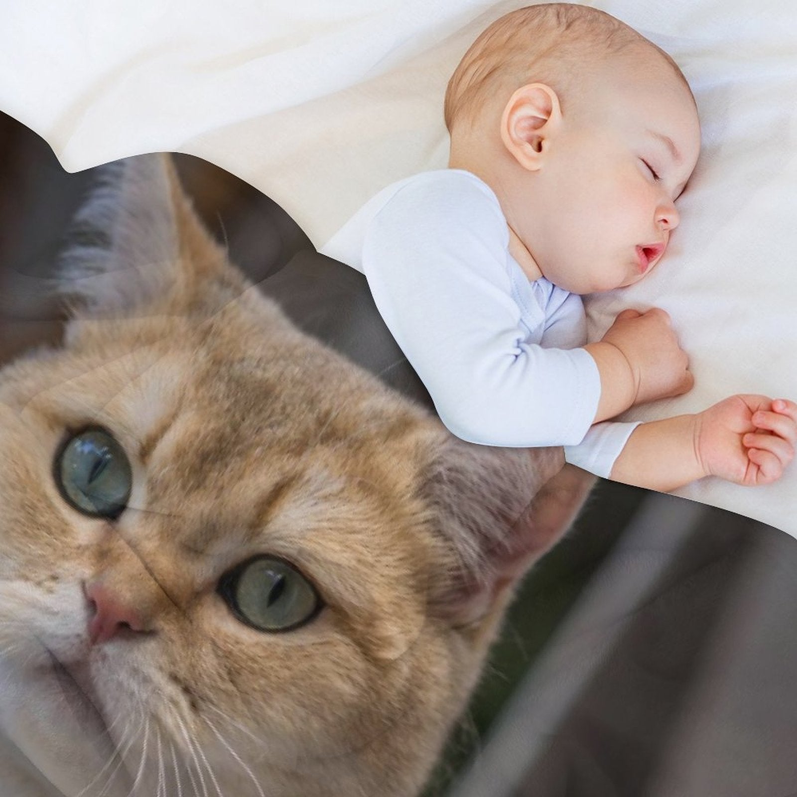 Custom Pet Photo Blanket Best Day Ever Birthday Blanket-WEPRINTME-5