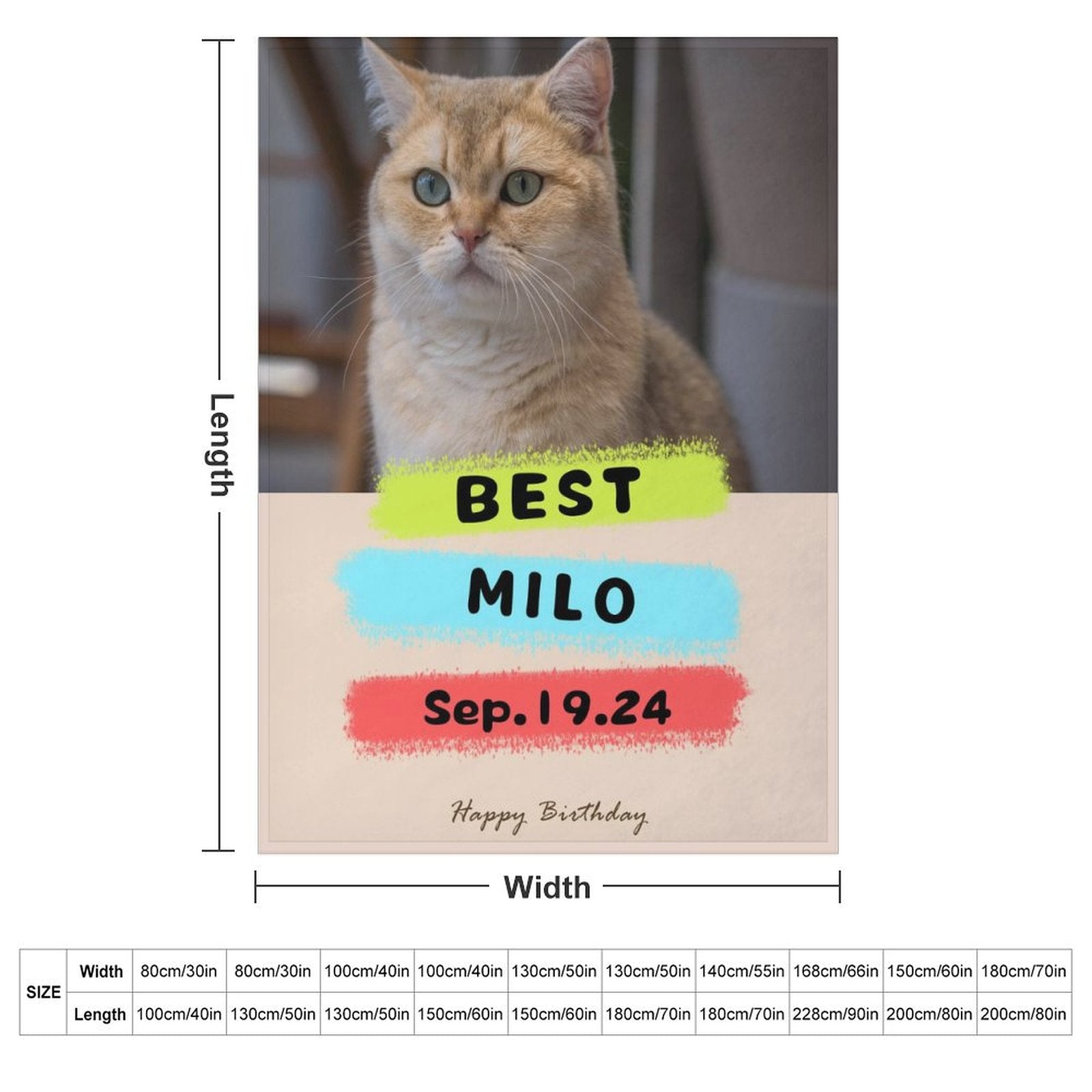 Custom Pet Photo Blanket Best Day Ever Birthday Blanket-WEPRINTME-6