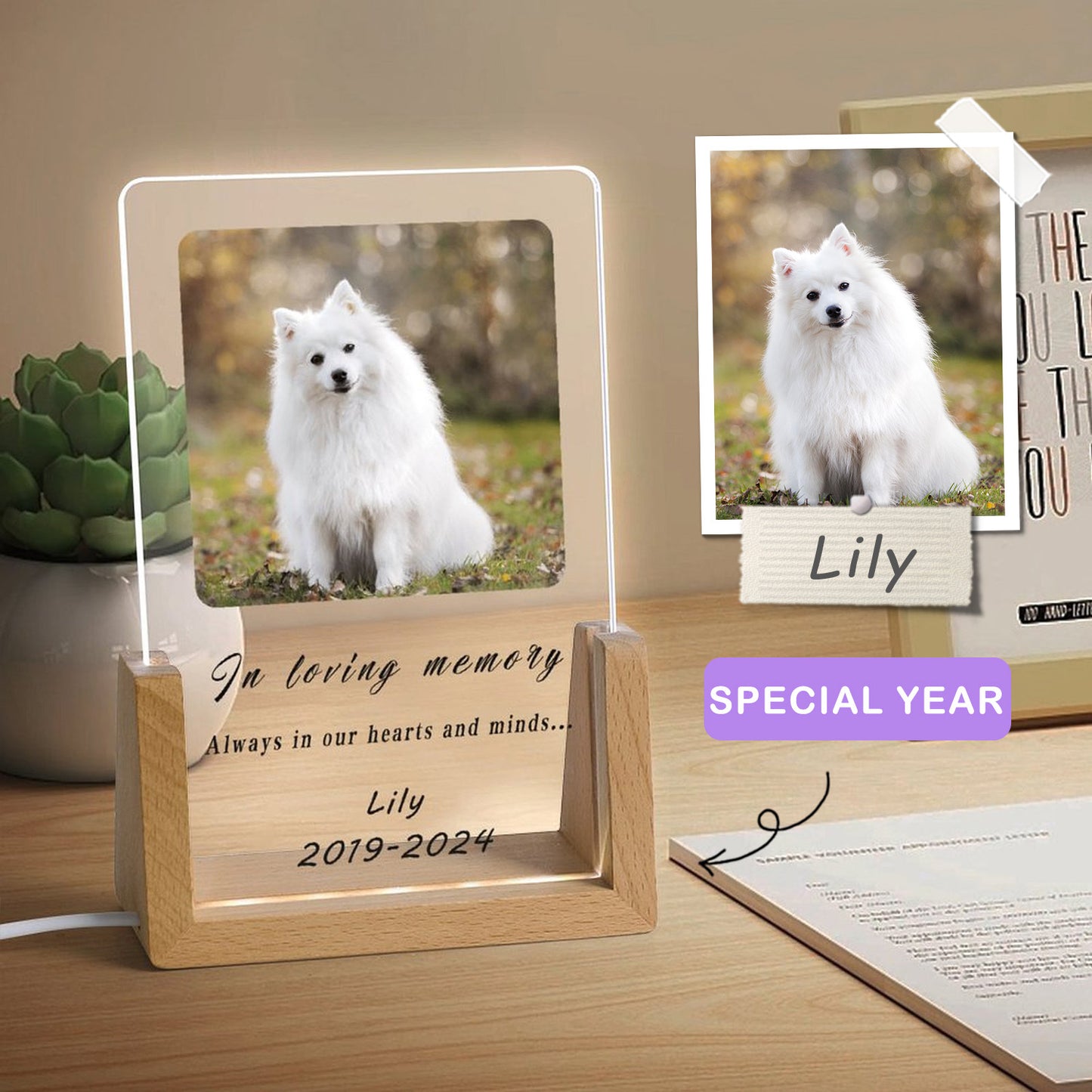 Custom Pet Photo Forever in Heart Memorial Acrylic Night Light-WEPRINTME-1