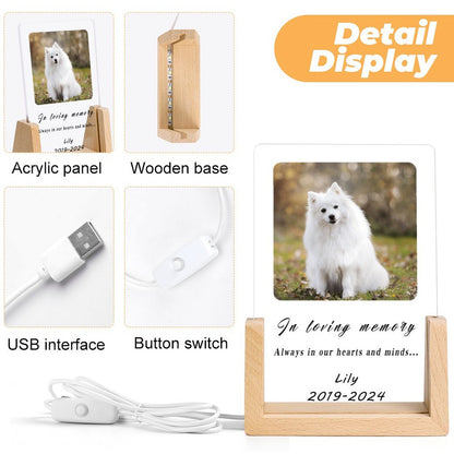 Custom Pet Photo Forever in Heart Memorial Acrylic Night Light-WEPRINTME-12