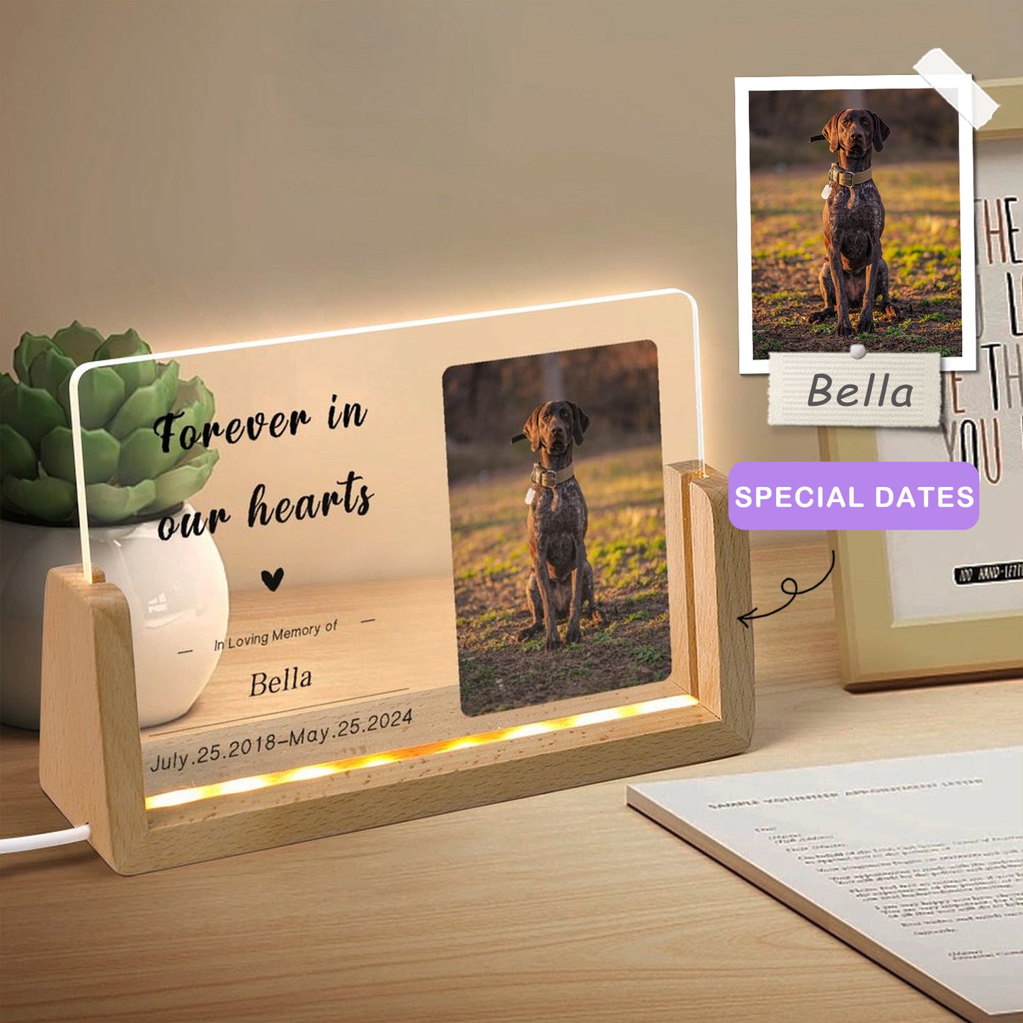 Custom Pet Photo Forever in Heart Memorial Acrylic Night Light-WEPRINTME-2