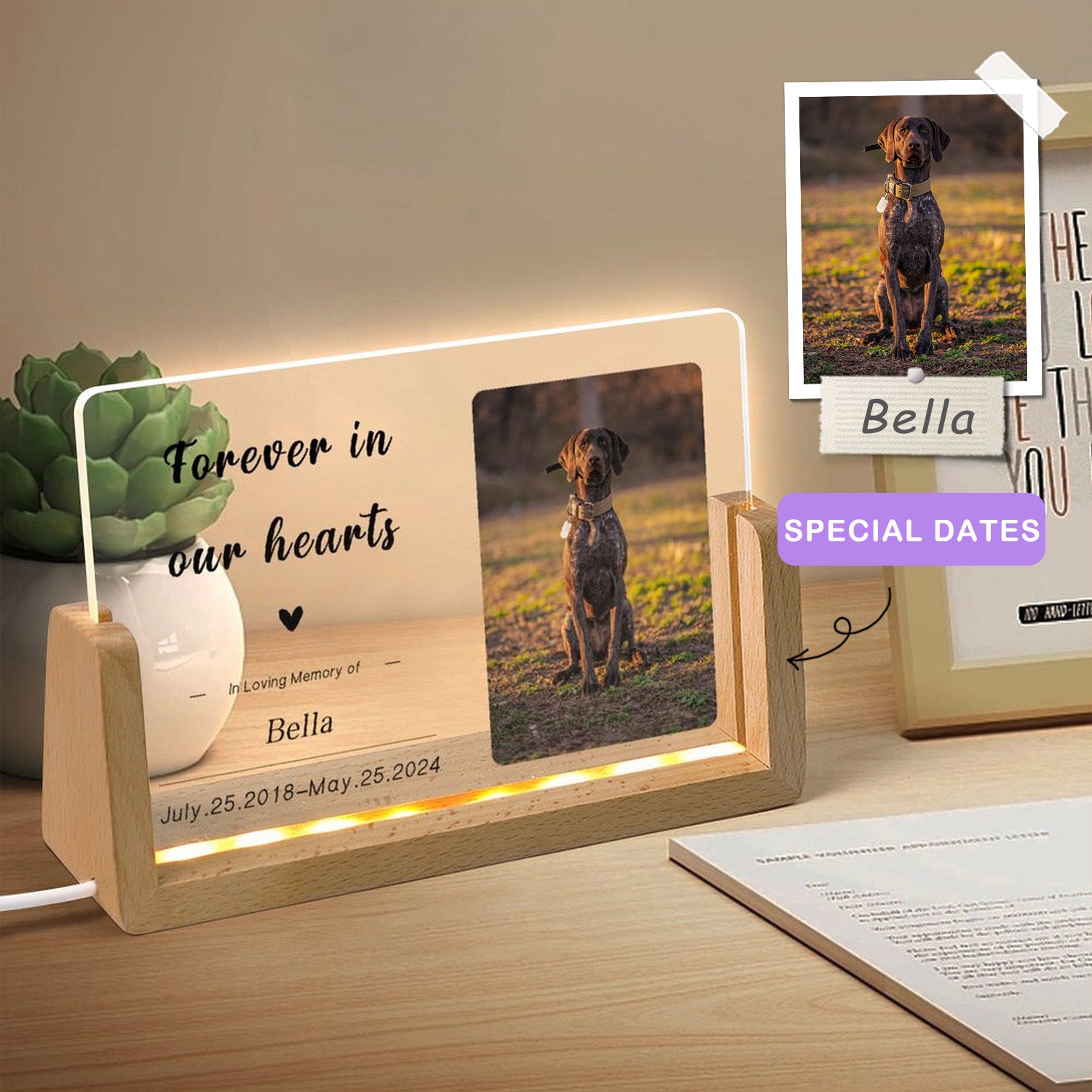Custom Pet Photo Forever in Heart Memorial Acrylic Night Light-WEPRINTME-2