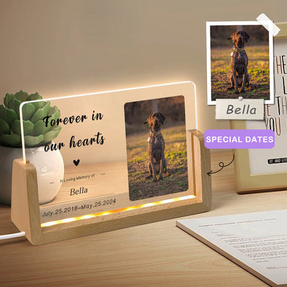 Custom Pet Photo Forever in Heart Memorial Acrylic Night Light-WEPRINTME-2