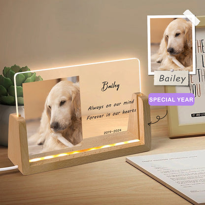 Custom Pet Photo Forever in Heart Memorial Acrylic Night Light-WEPRINTME-3