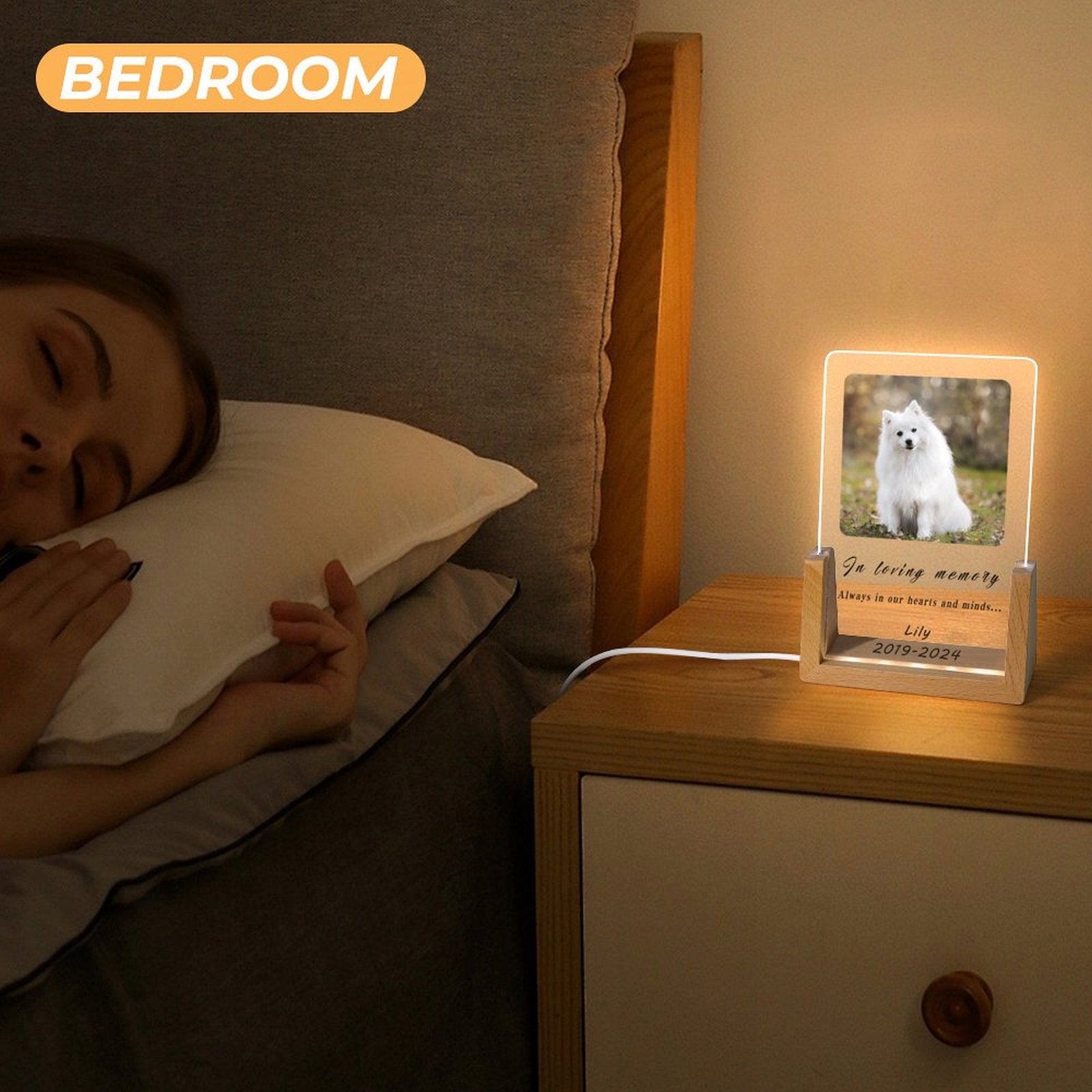 Custom Pet Photo Forever in Heart Memorial Acrylic Night Light-WEPRINTME-6