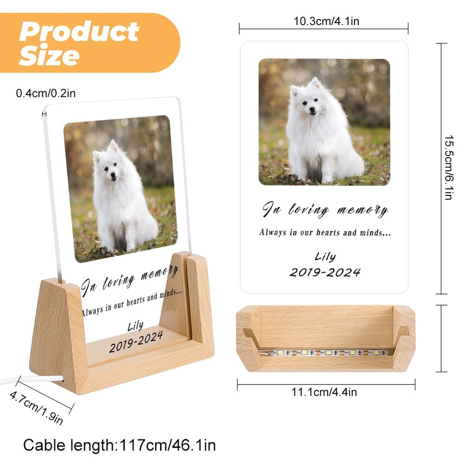 Custom Pet Photo Forever in Heart Memorial Acrylic Night Light-WEPRINTME-9