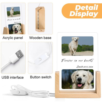 Custom Pet Photos Forever in Heart Memorial Acrylic Night Light-WEPRINTME-6