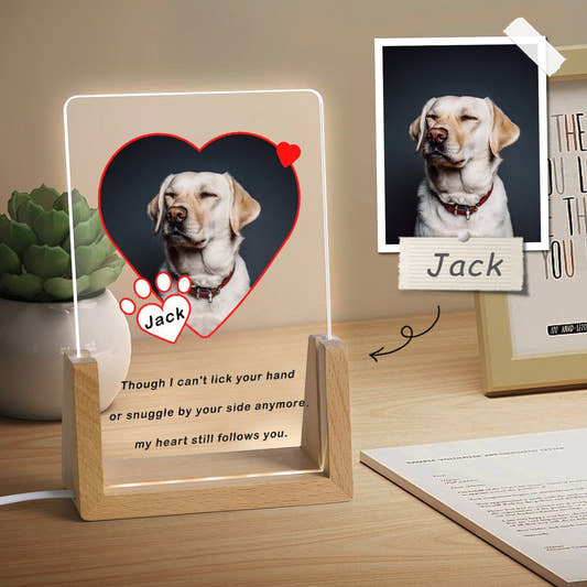 Custom Pet Photos Heart Memorial Acrylic Night Light-WEPRINTME-11