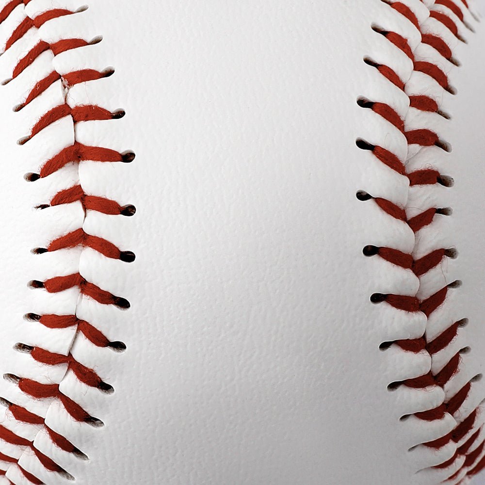 WEPRINTMEBaseballCustom Pet Baseball