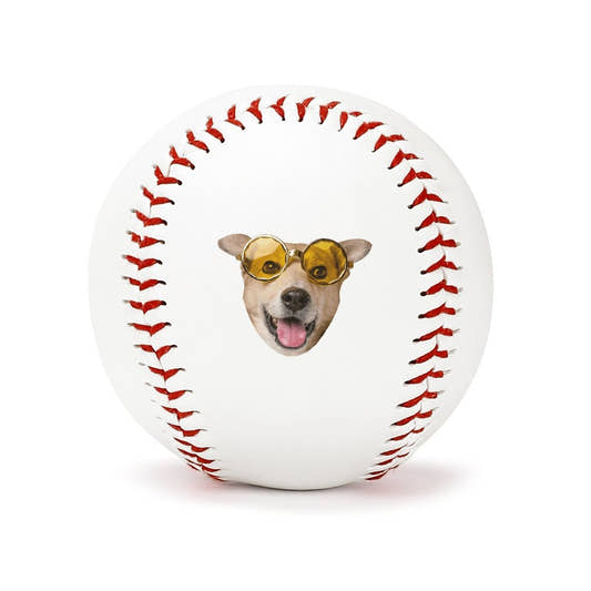 WePrintMeBaseballCustom Pet Baseball