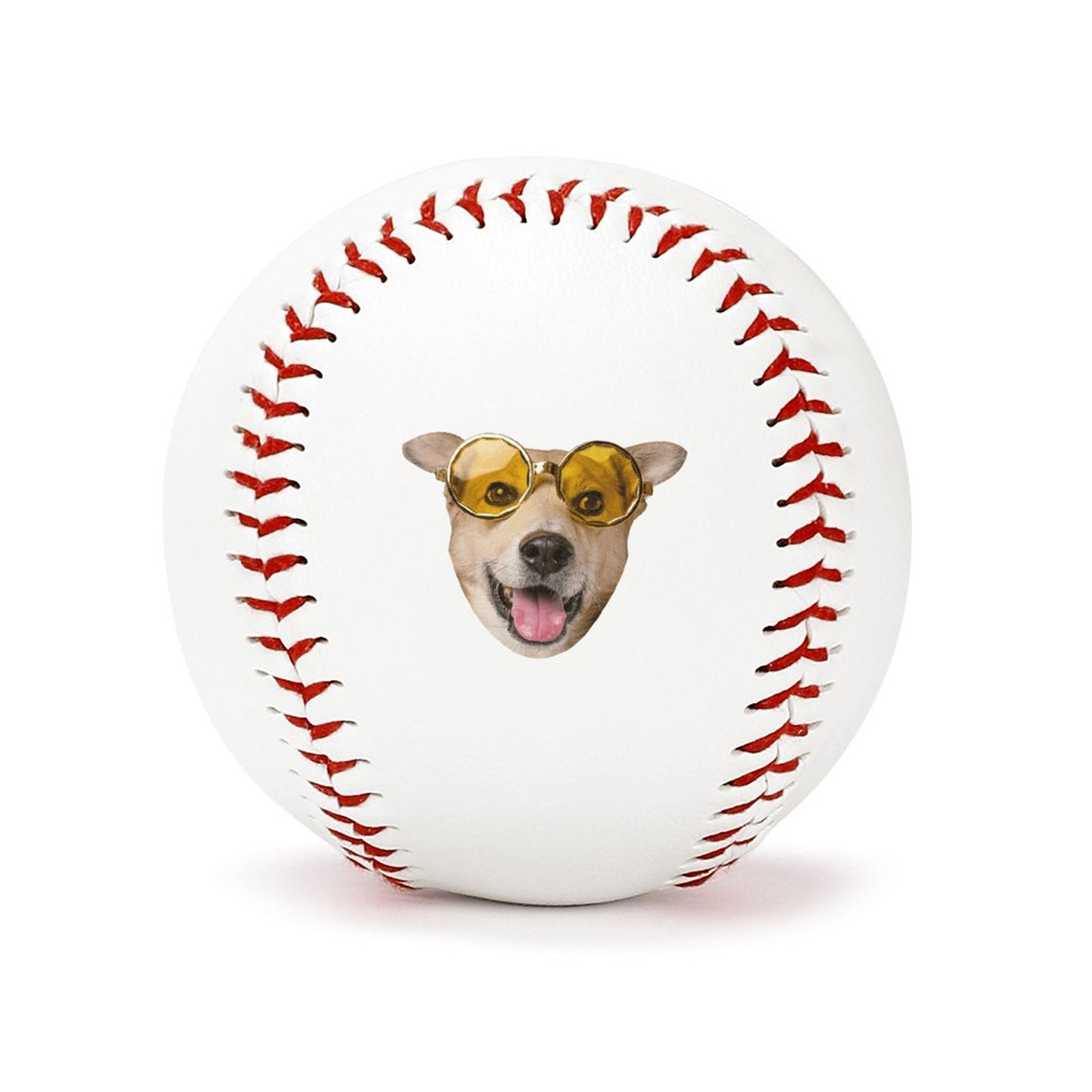 WEPRINTMEBaseballCustom Pet Baseball