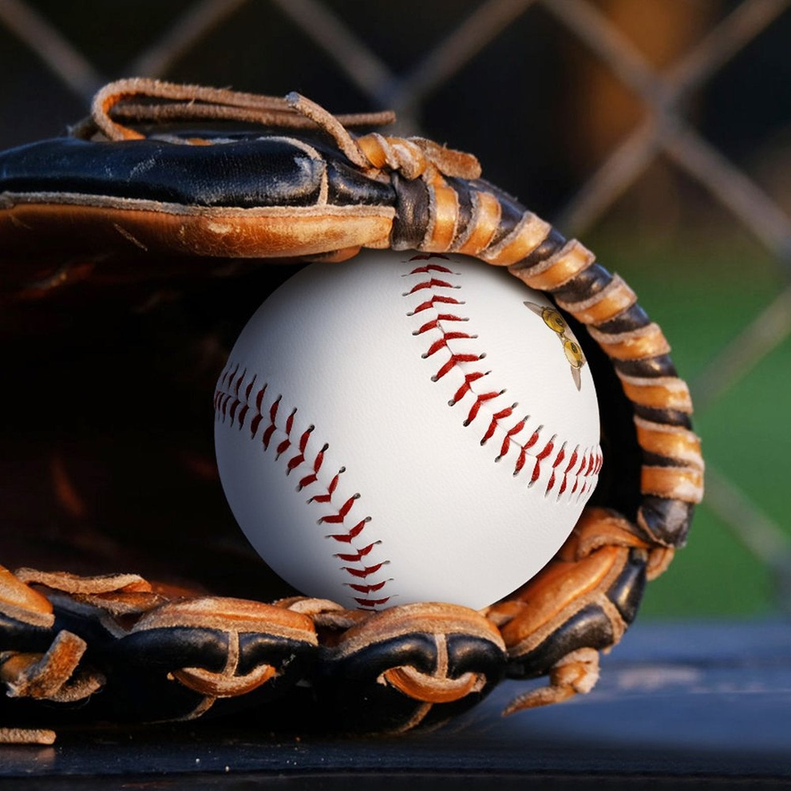 WEPRINTMEBaseballCustom Pet Baseball