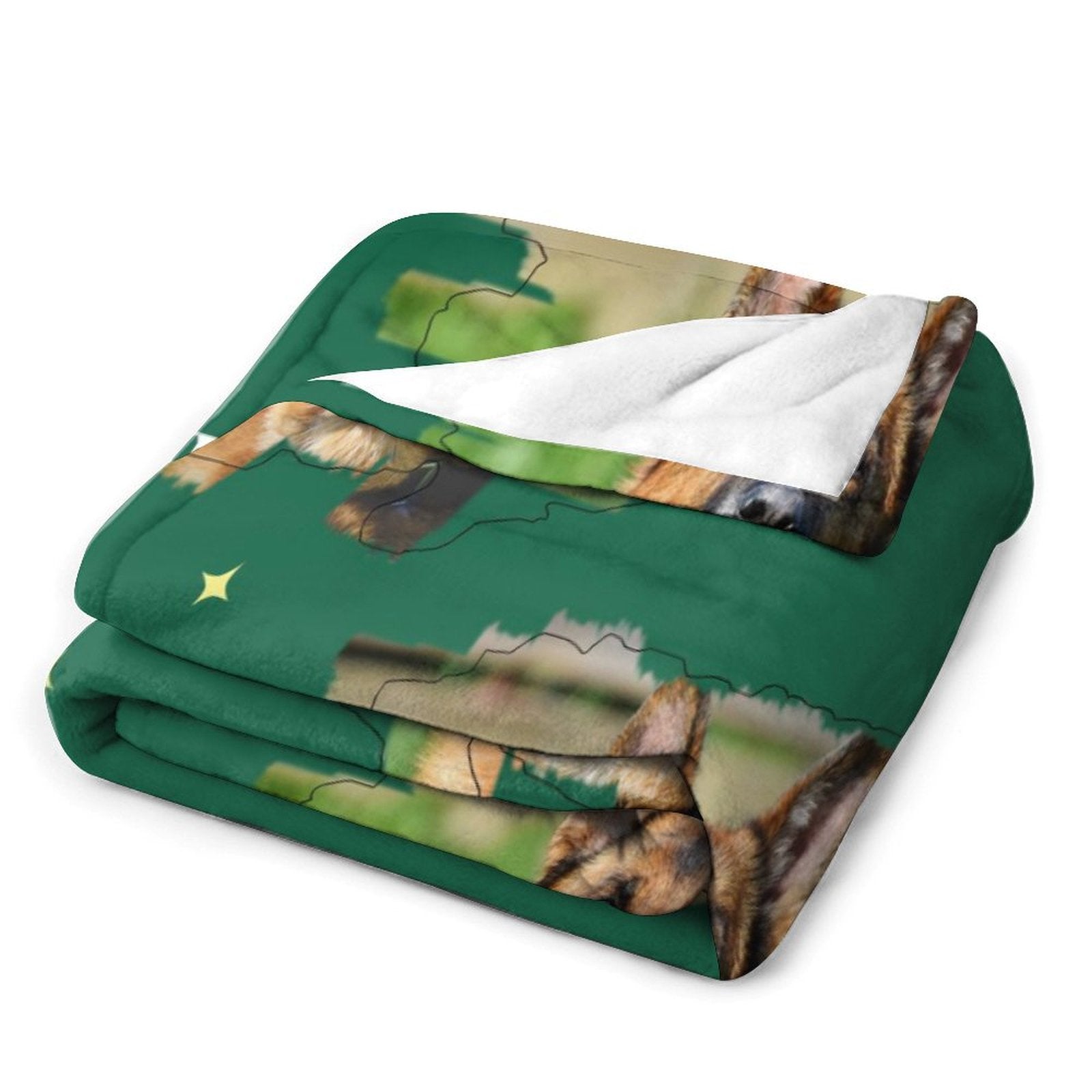 WEPRINTMEBlanketCustom Pet Photo Green Stars Fleece Blanket