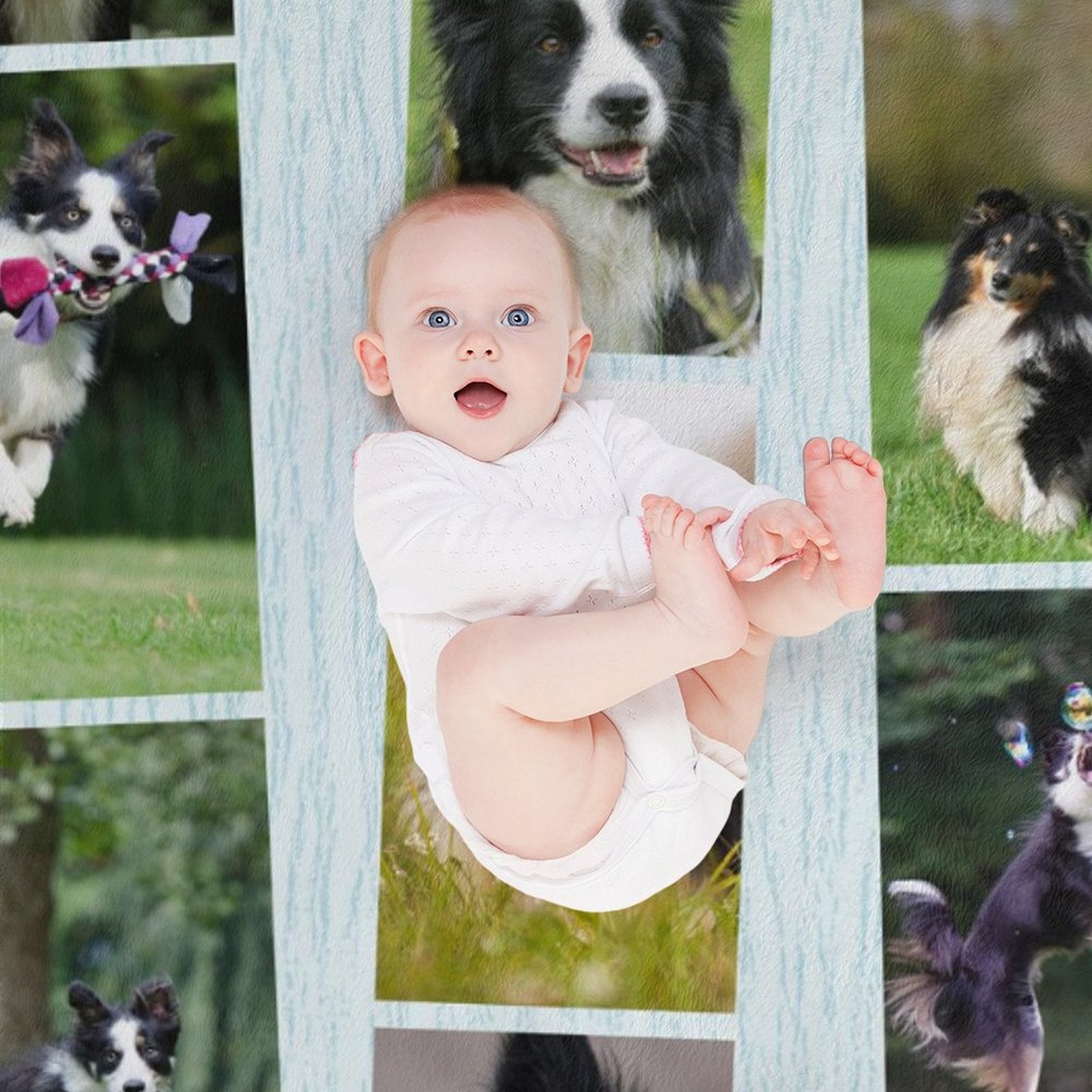 WEPRINTMEBlanketCustom Pet Photos Film Fleece Blanket