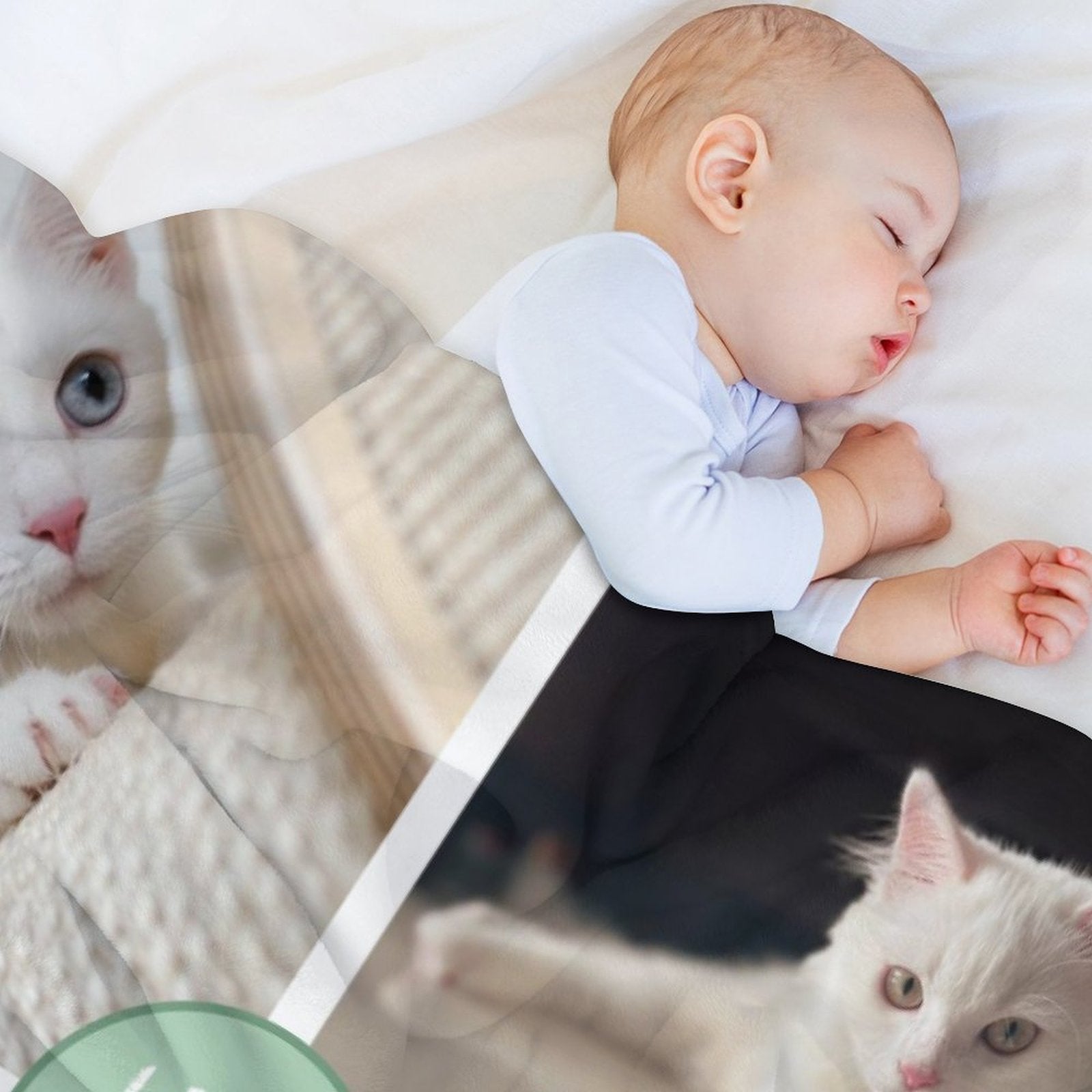 WEPRINTMEBlanketCustom Pet Photos Love Pet Fleece Blanket