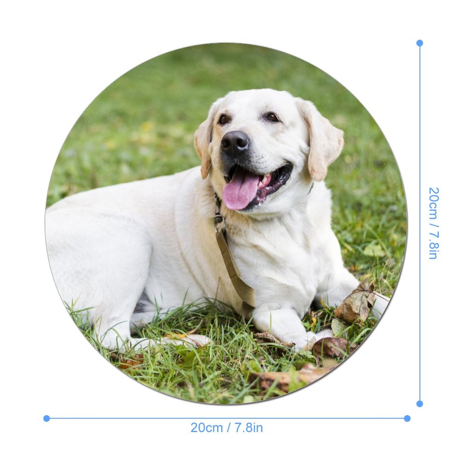 WEPRINTMEMouse PadCustom Photo Mouse Pad