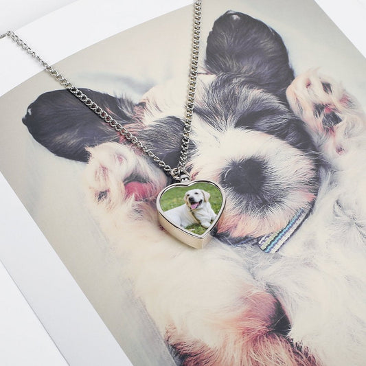 WEPRINTMENecklaceCustom Photo Pet Cremation Ashes Necklace