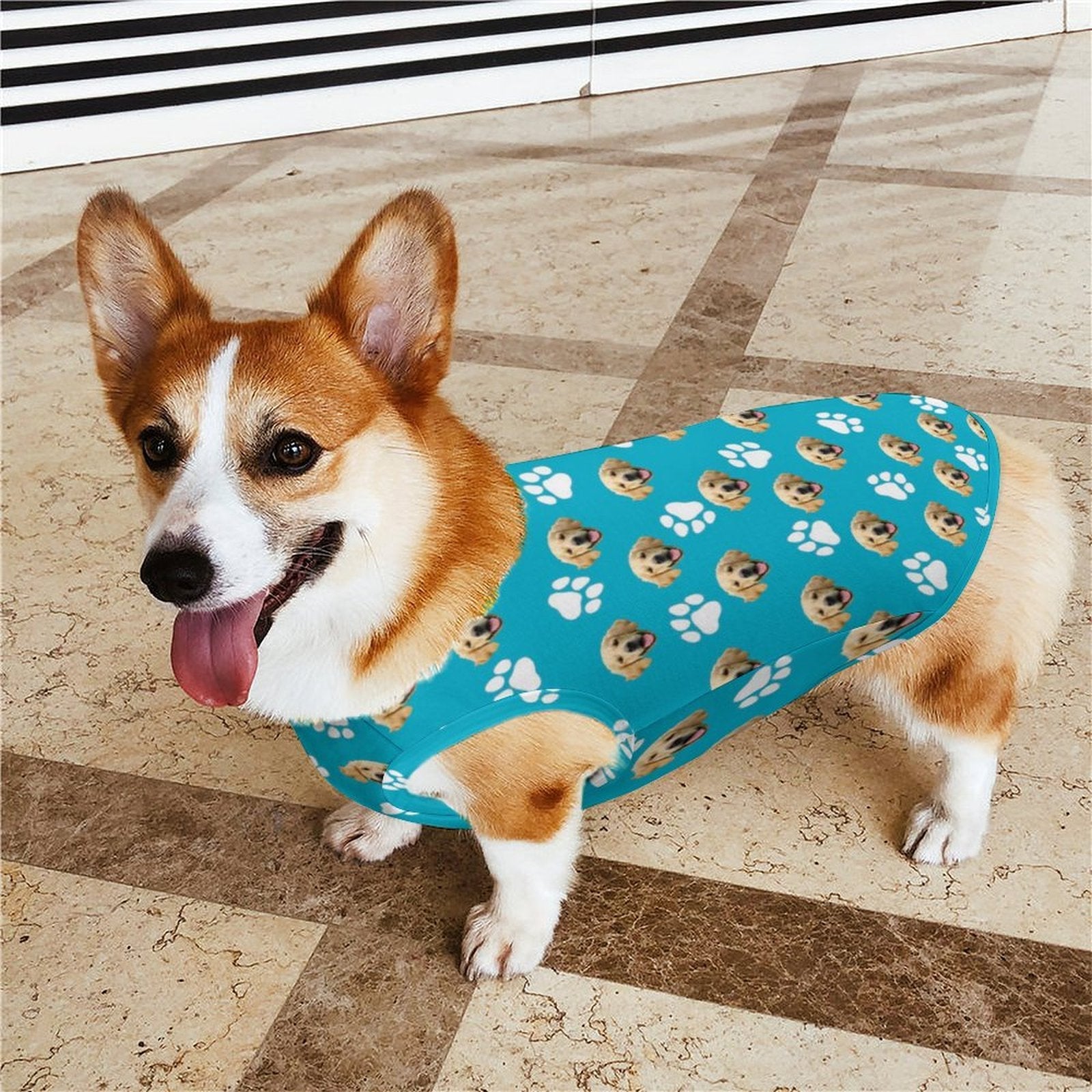 WEPRINTMEPet ClothesCustom Pet Face Pet Vest