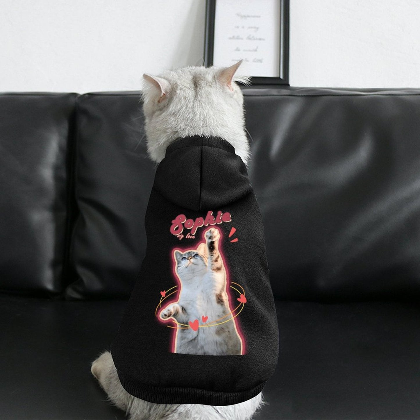 WEPRINTMEPet ClothesCustom Pet Hoodie Name and Photo Pet Costume