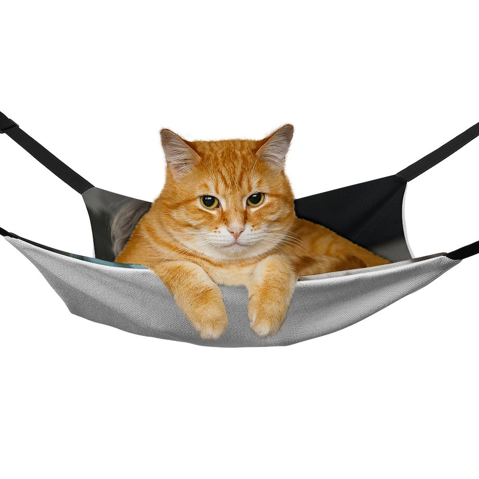 WEPRINTMEPet HammockCustom Photo Pet Hammock