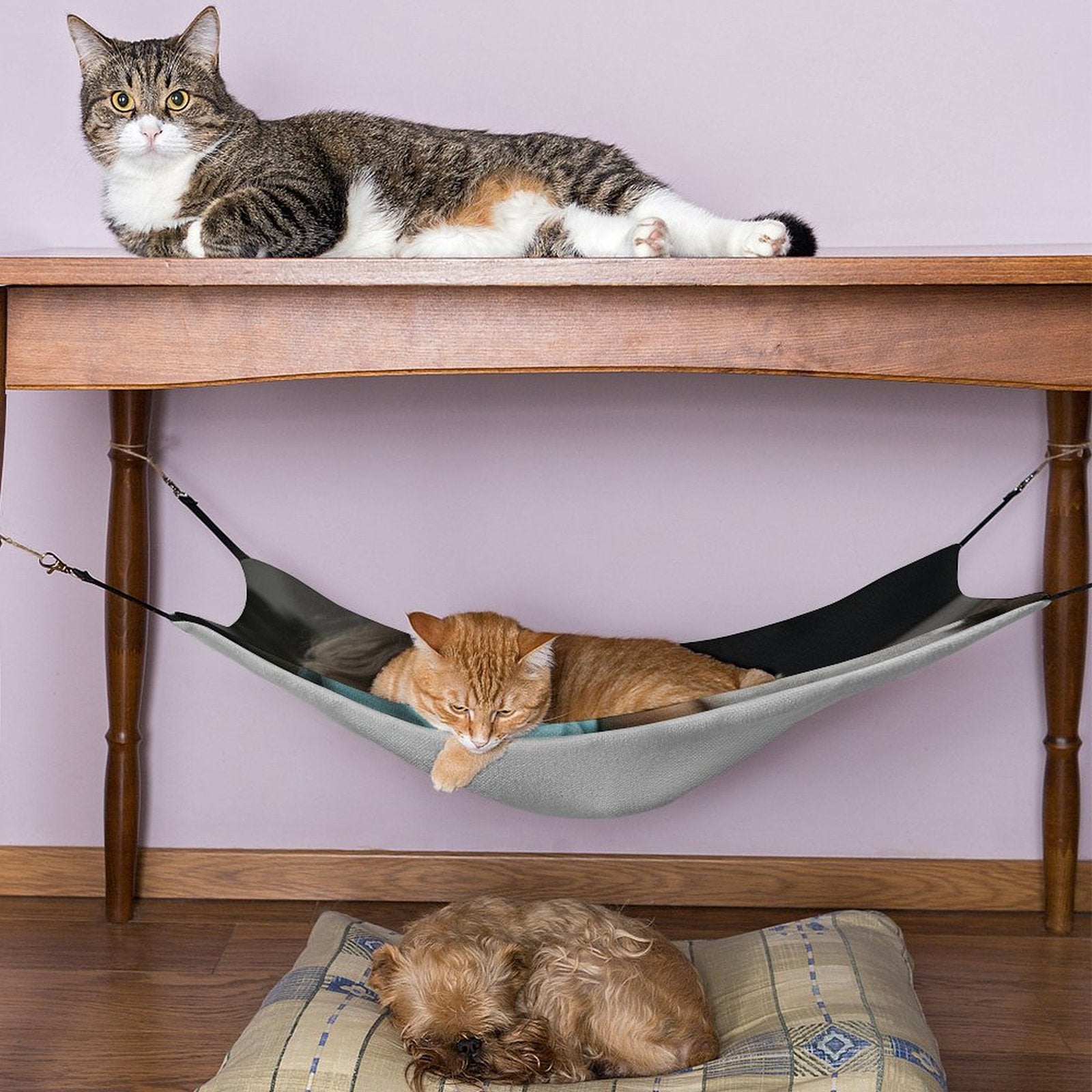 WEPRINTMEPet HammockCustom Photo Pet Hammock