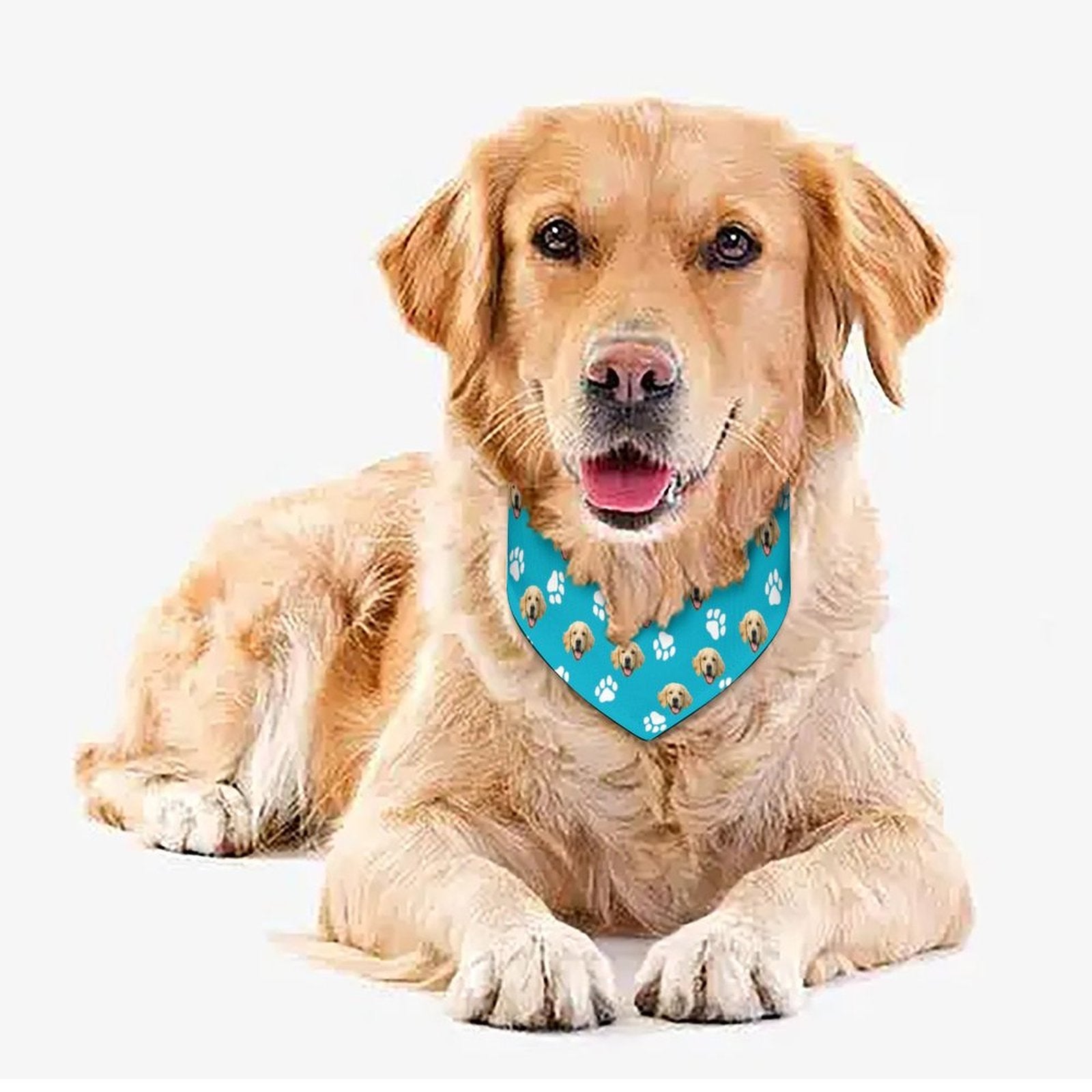 WEPRINTMEPet ScarfCustom Pet Face Pet Scarf